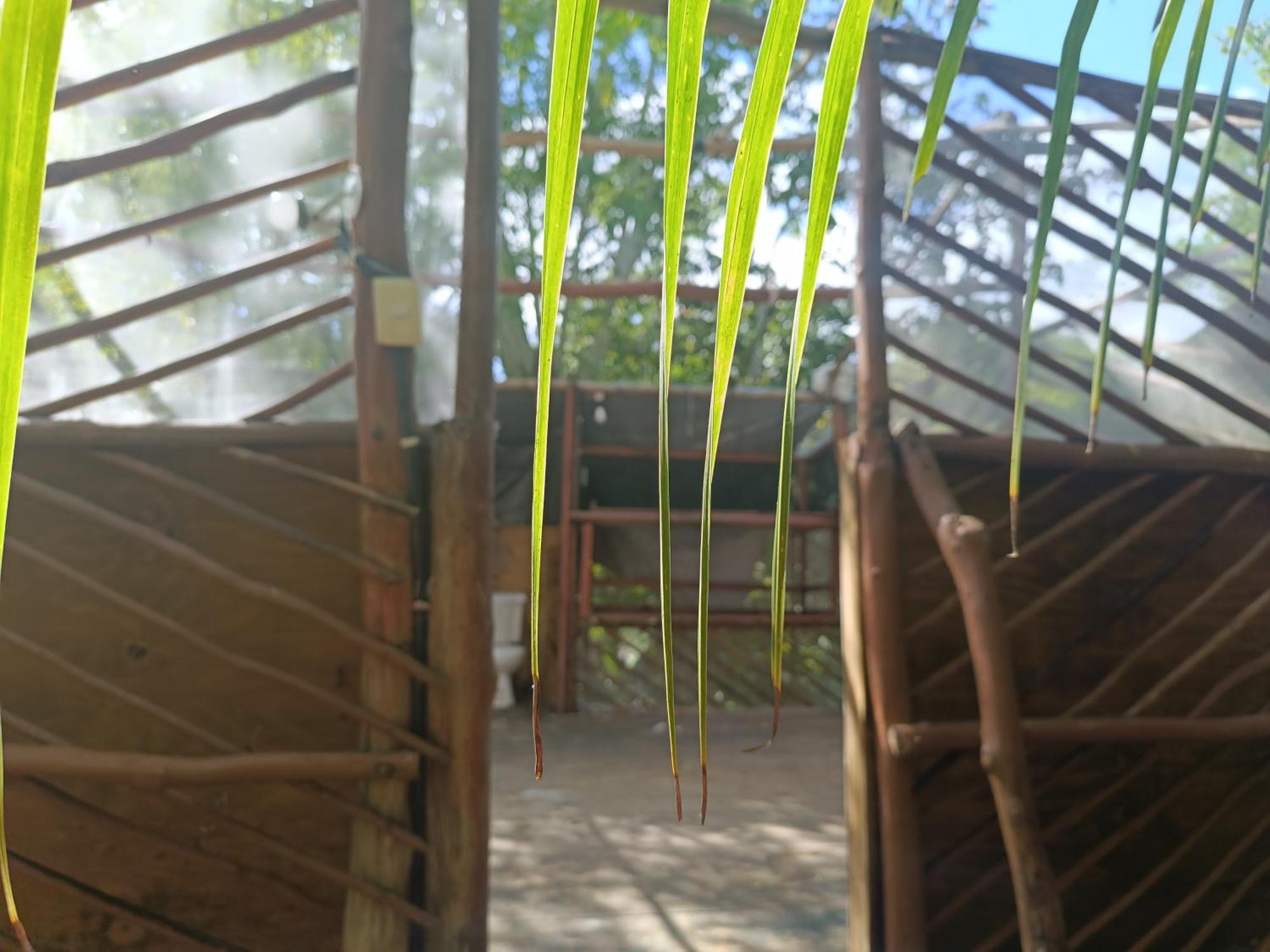 Campsite Space For Your Tent