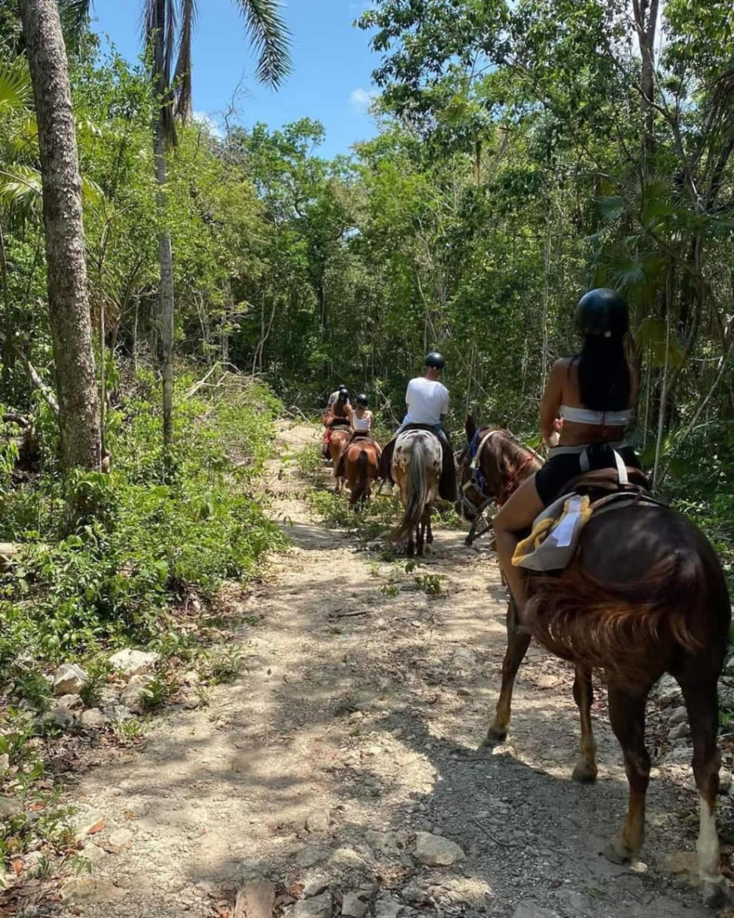 Holiday home Loft In Cenotes Natural Park