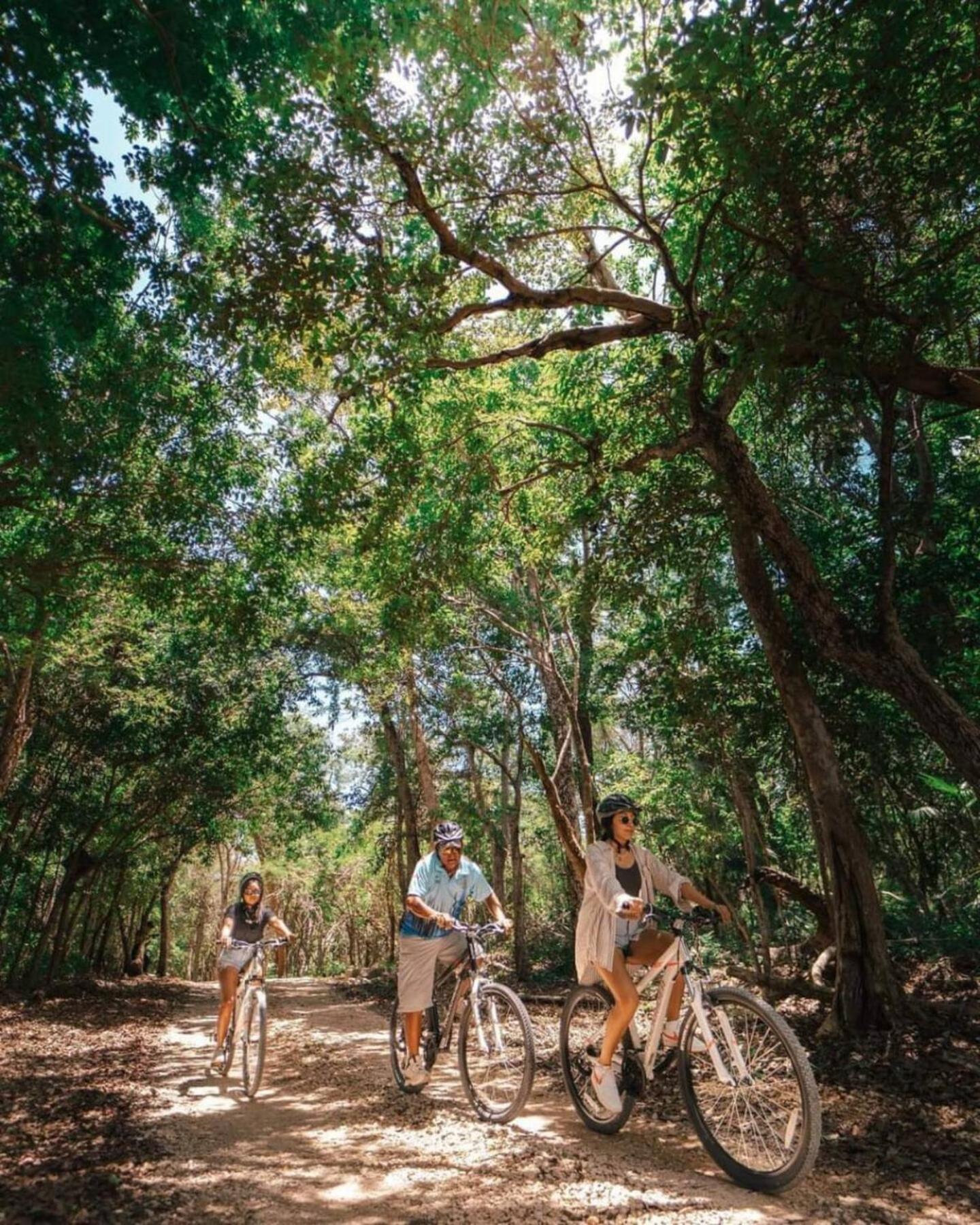 Holiday home Loft In Cenotes Natural Park Tulum