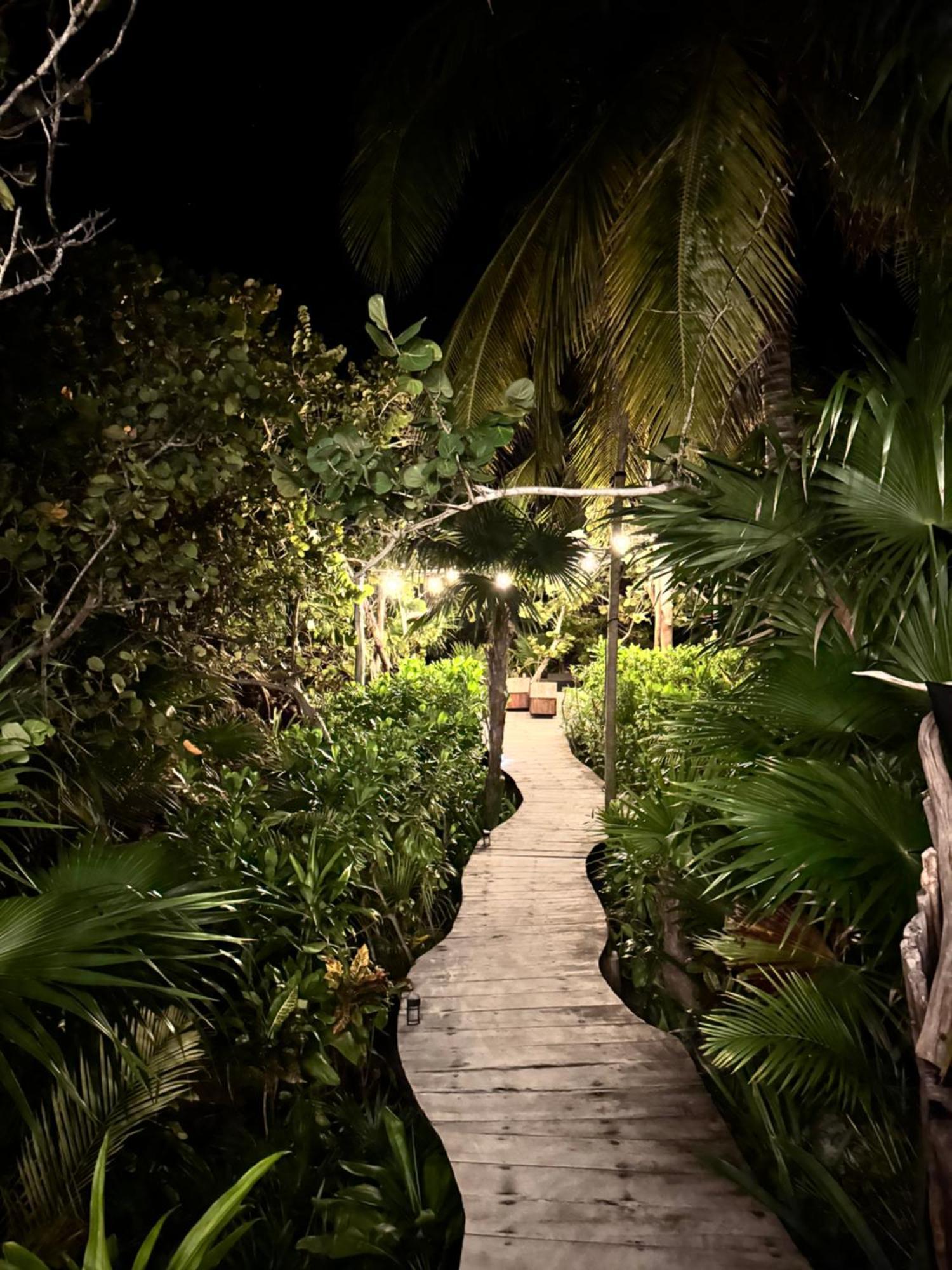 Casa Tolok In Beachfront Villa