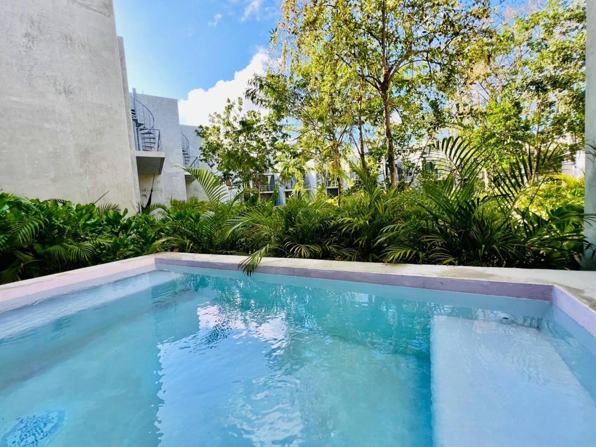 Apartamento 307 Seremonia Selva Private Pool New King Bed Wifi
