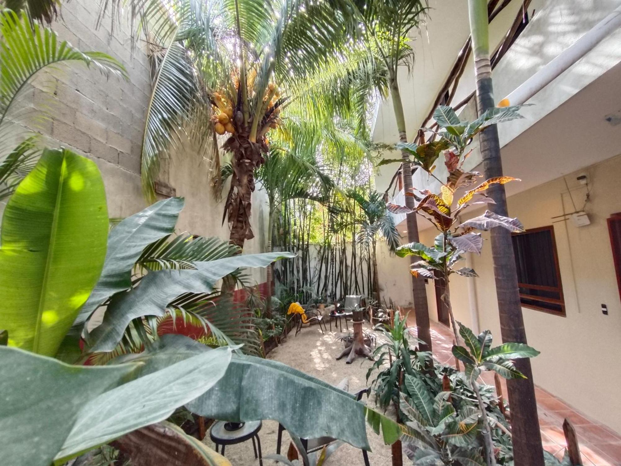 Casa Lupita 4*