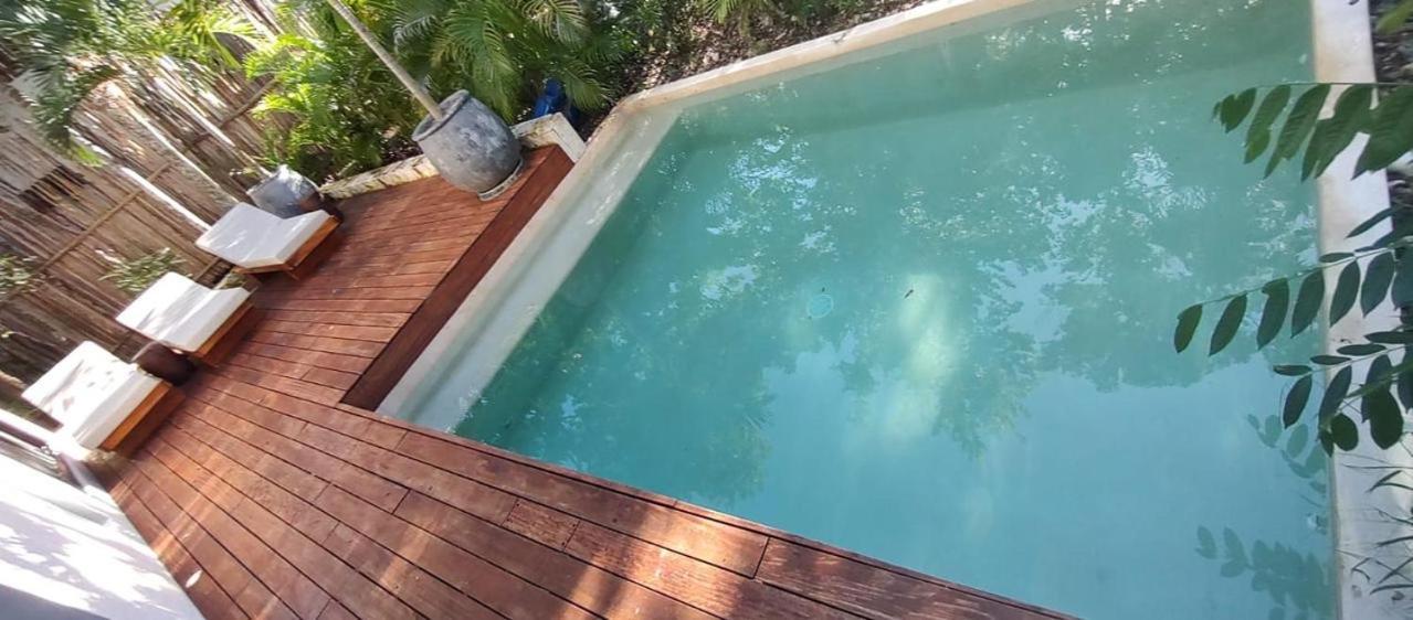 Xuncari In The Heart Of The Jungle * Tulum