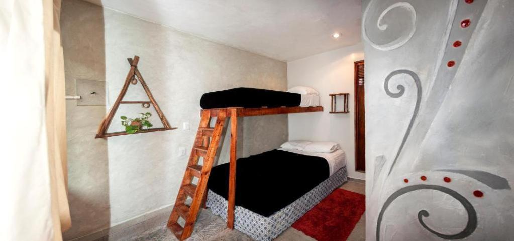 The - Food, Drinks And Transportation To The And Cenotes