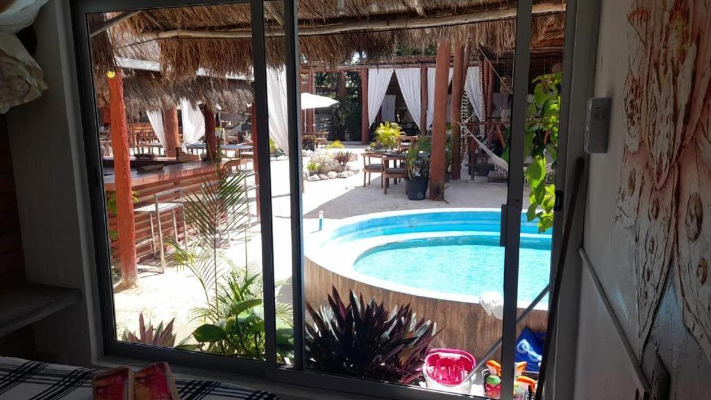 Hostel The - Food, Drinks And Transportation To The And Cenotes *