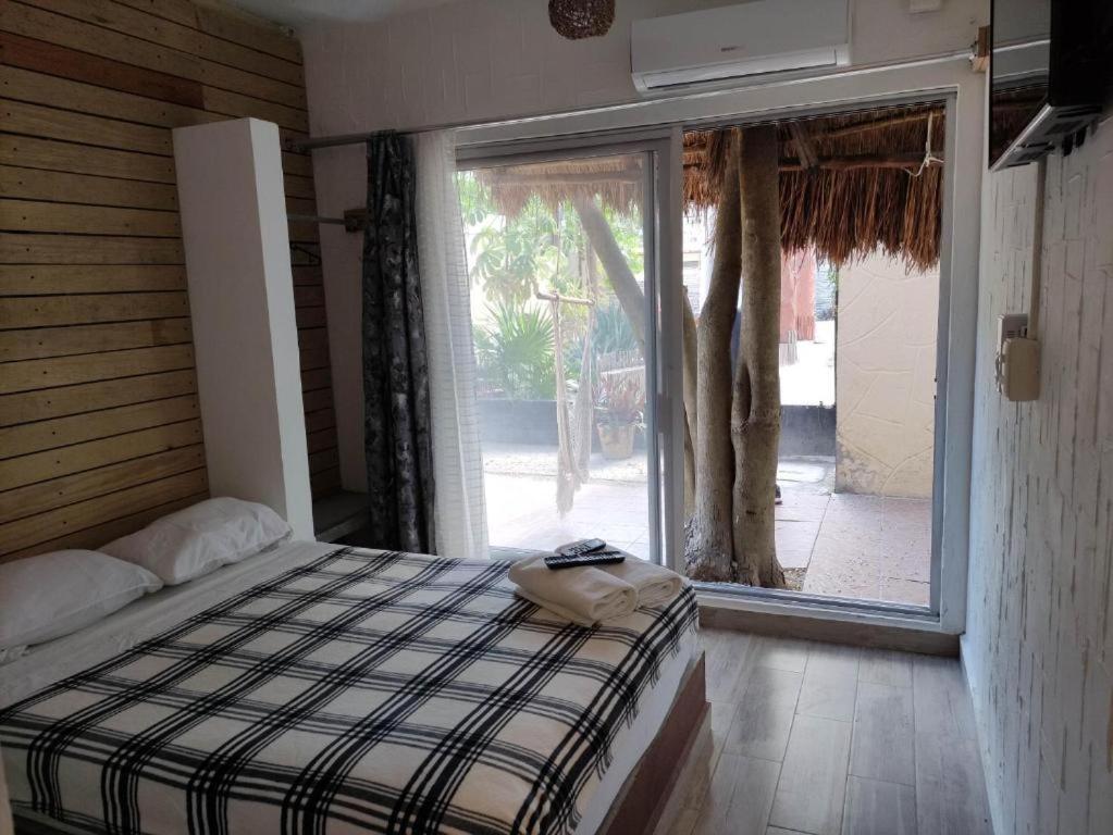 The - Food, Drinks And Transportation To The And Cenotes Hostel Tulum