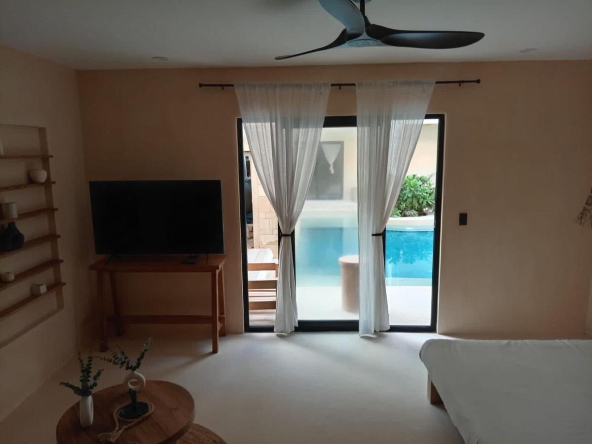 Cocay Lofts 108 Swim Up *