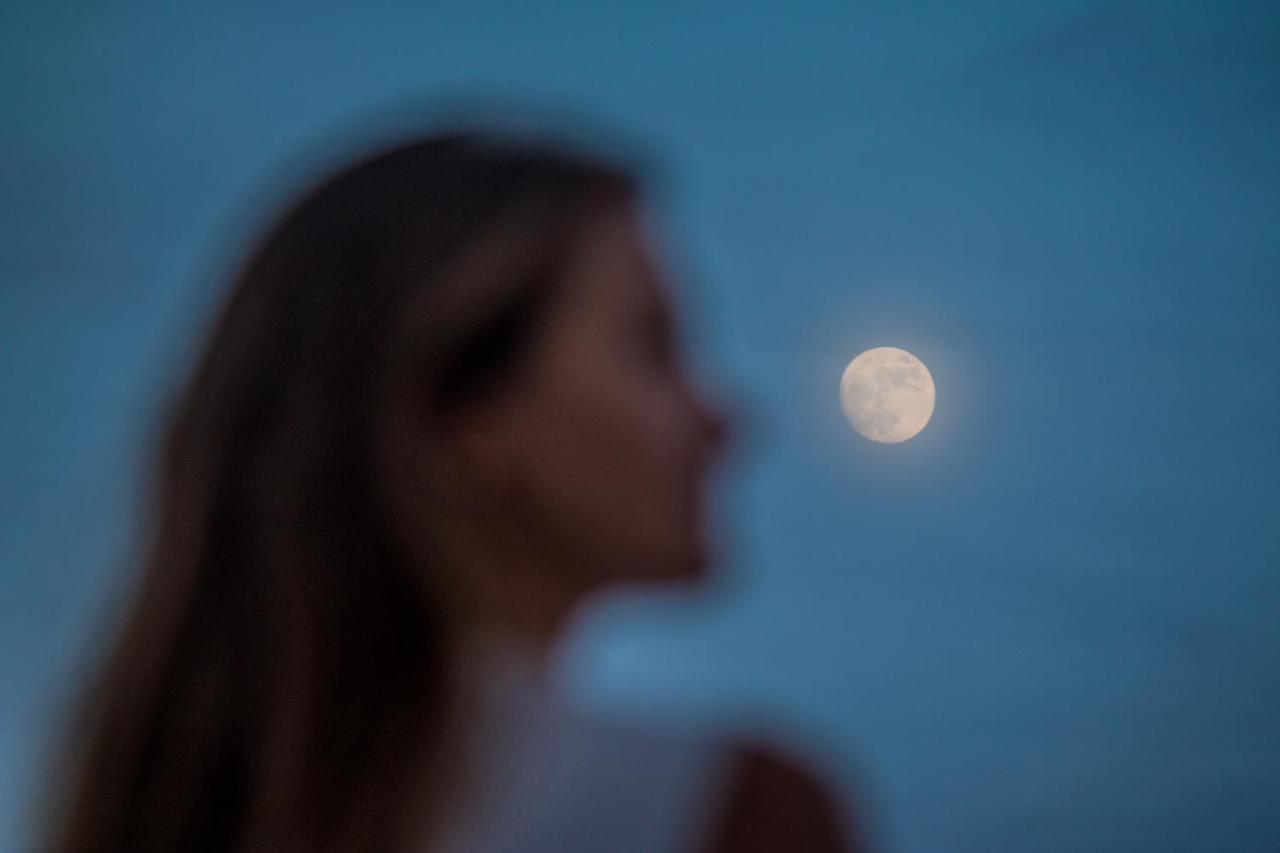 Mezzanine By La Zebra, An Slh (adults Only) Hotel