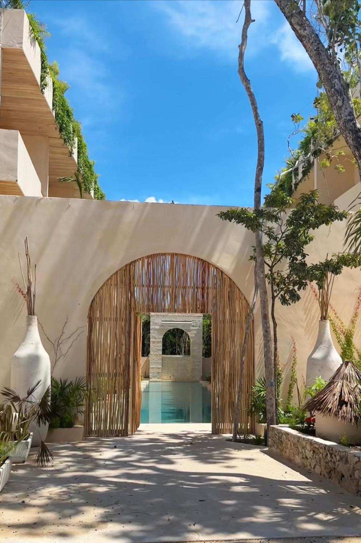Cocay Welcome To The Jungle Apartahotel