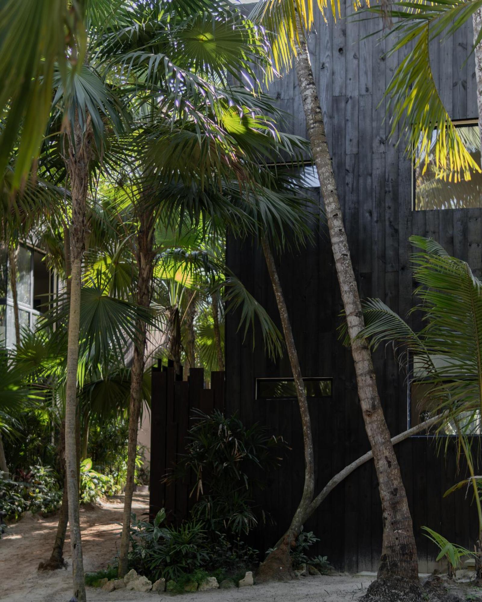Umi Hotel Tulum