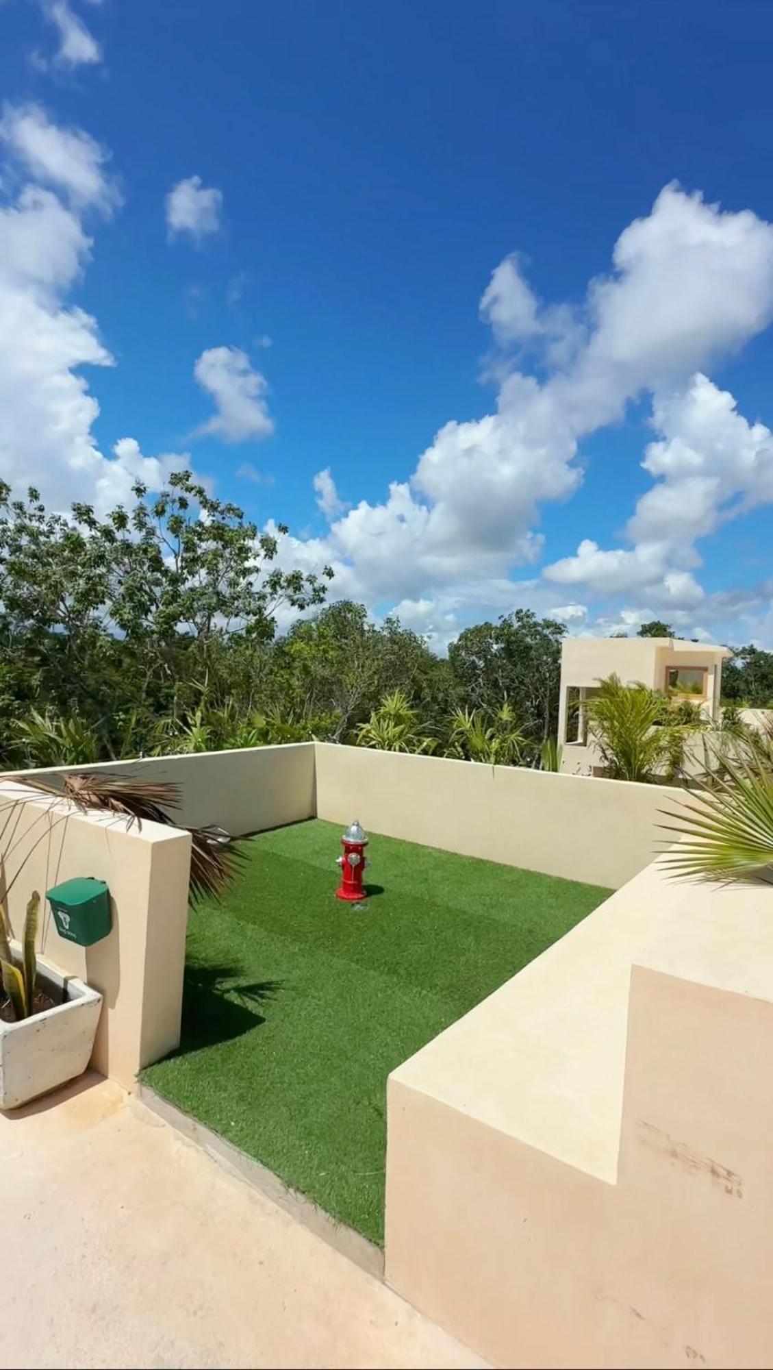 Cocay Welcome To The Jungle Tulum
