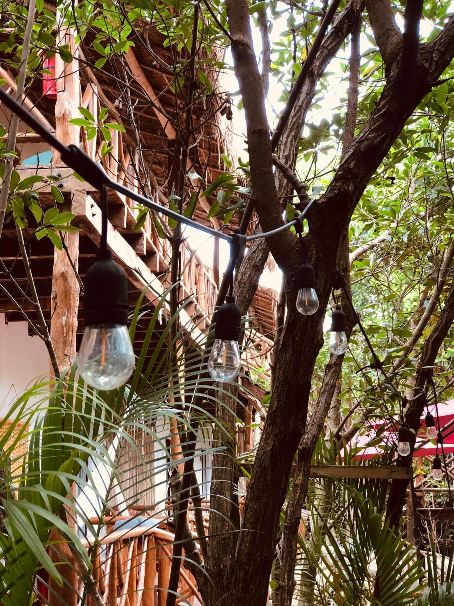 - Aldea Mangle & Cenote * Tulum