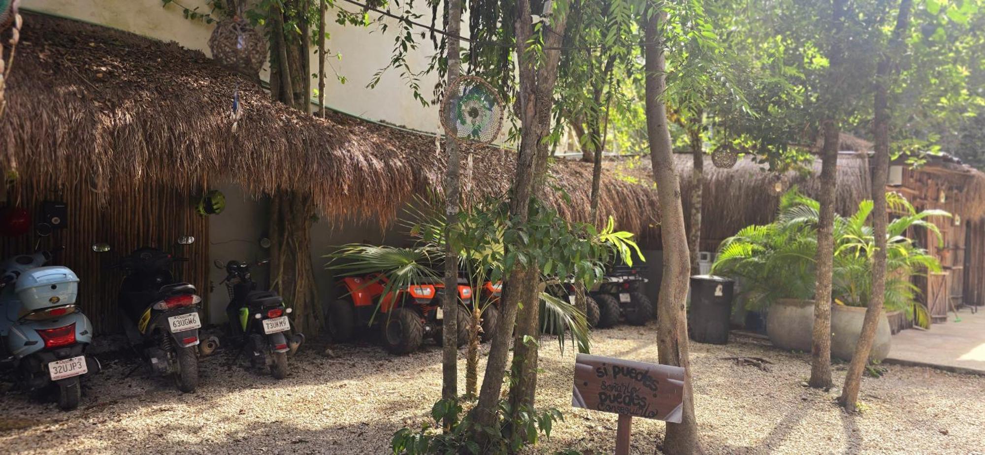 Kin Jungle Deluxe 4*