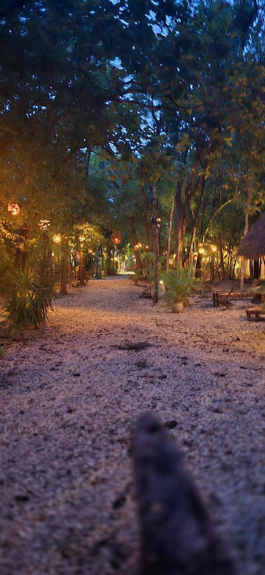 Guest house Kin Jungle Deluxe