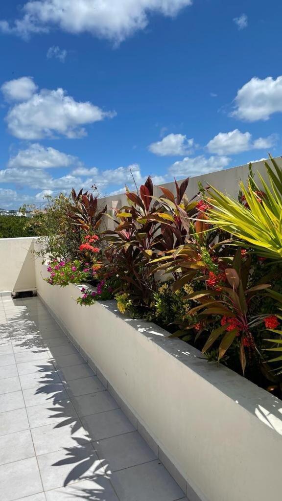 Spacious Penthouse With Private Rooftop & Jacuzzi Apartment *