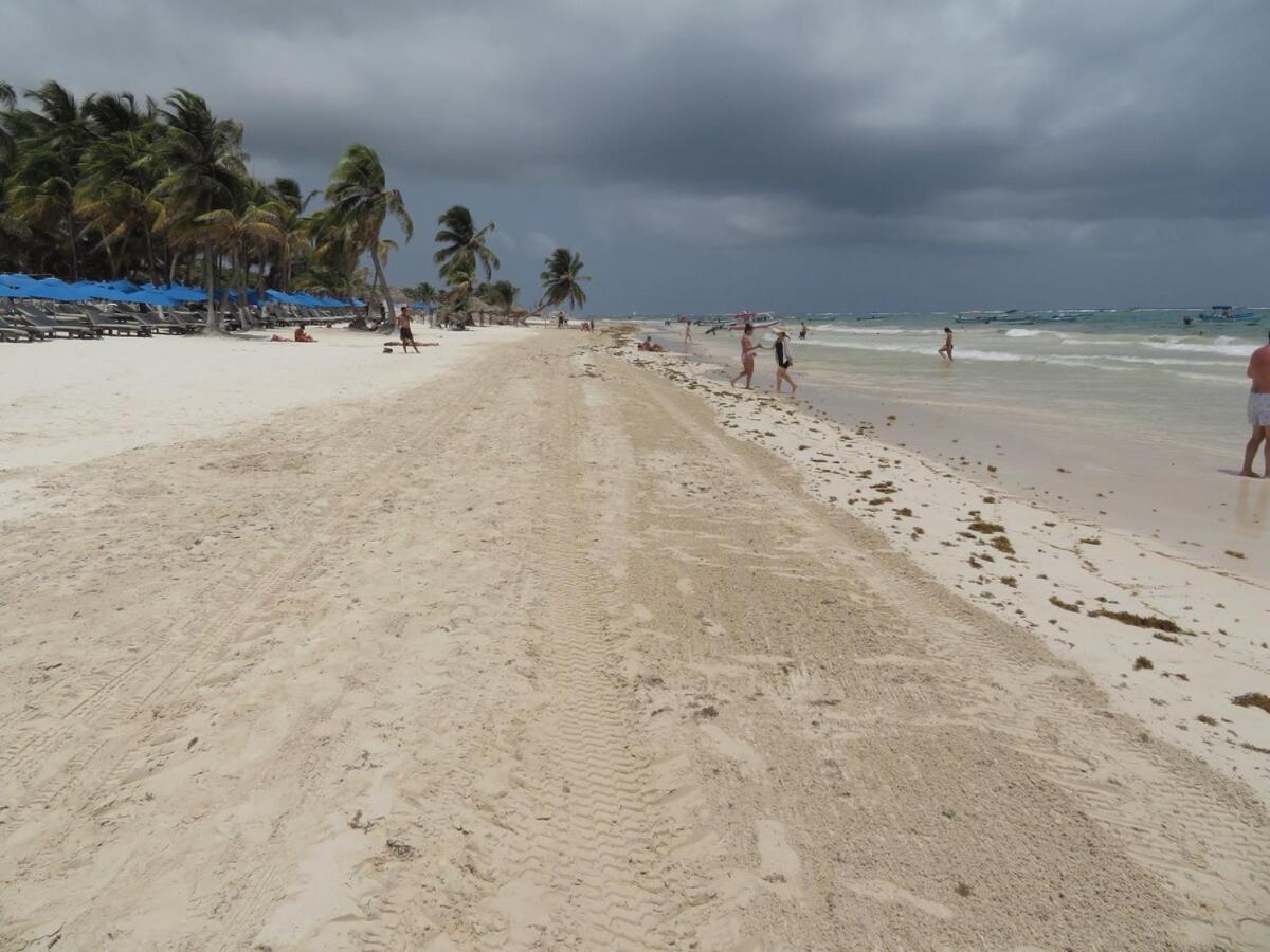 Spacious Penthouse With Private Rooftop & Jacuzzi Apartment