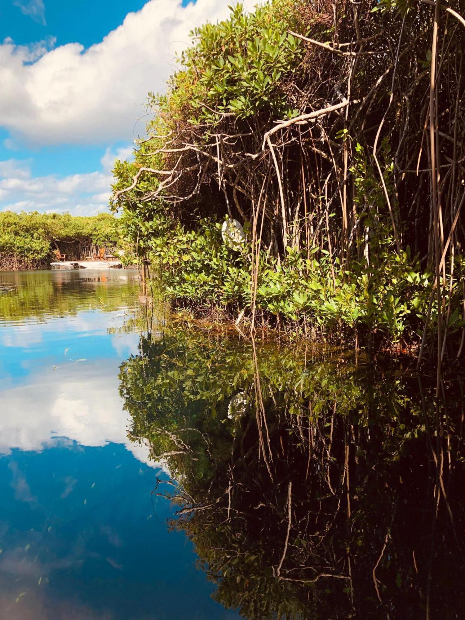 - Aldea Mangle & Cenote Lodge *