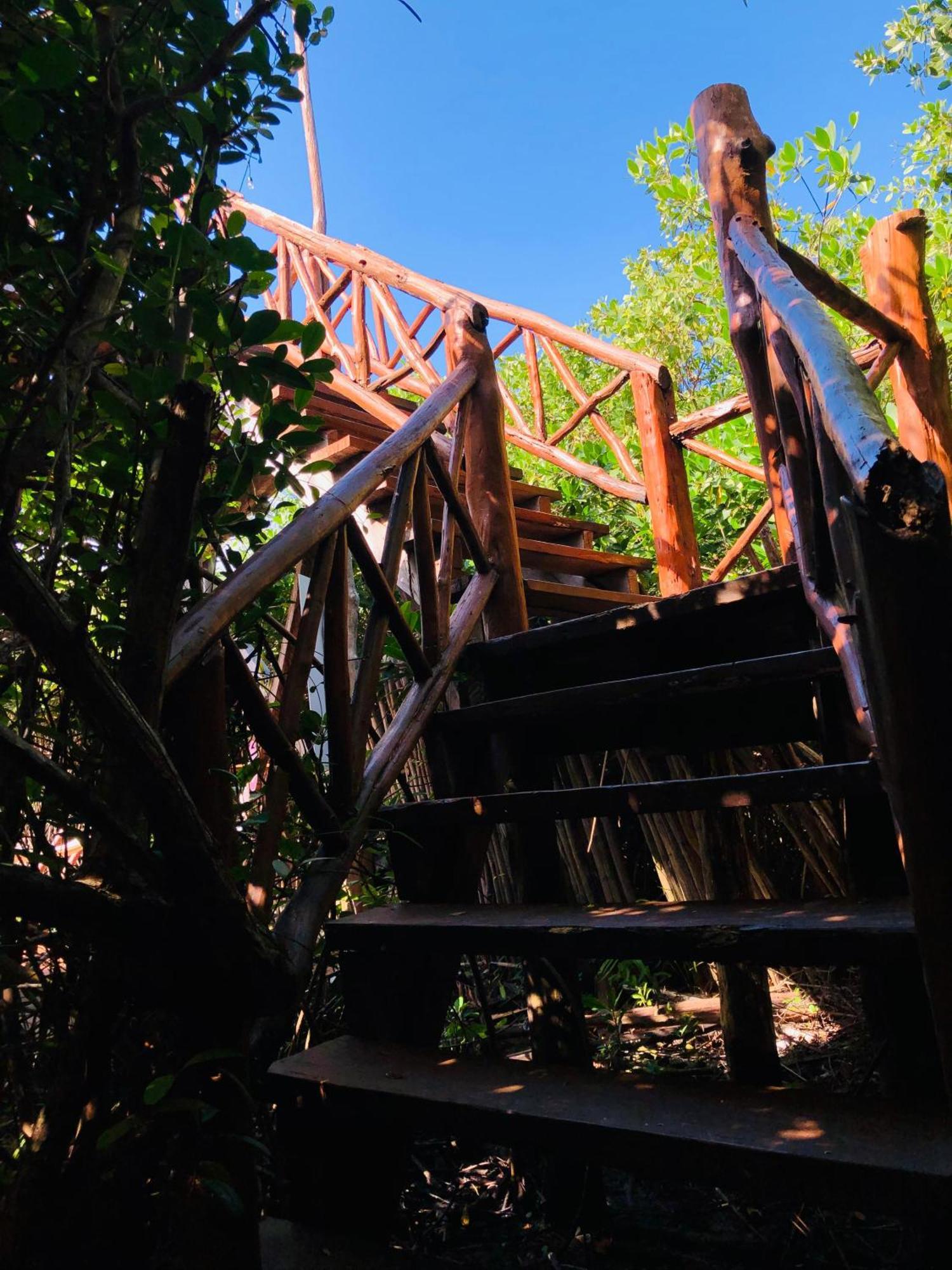 Lodge - Aldea Mangle & Cenote *