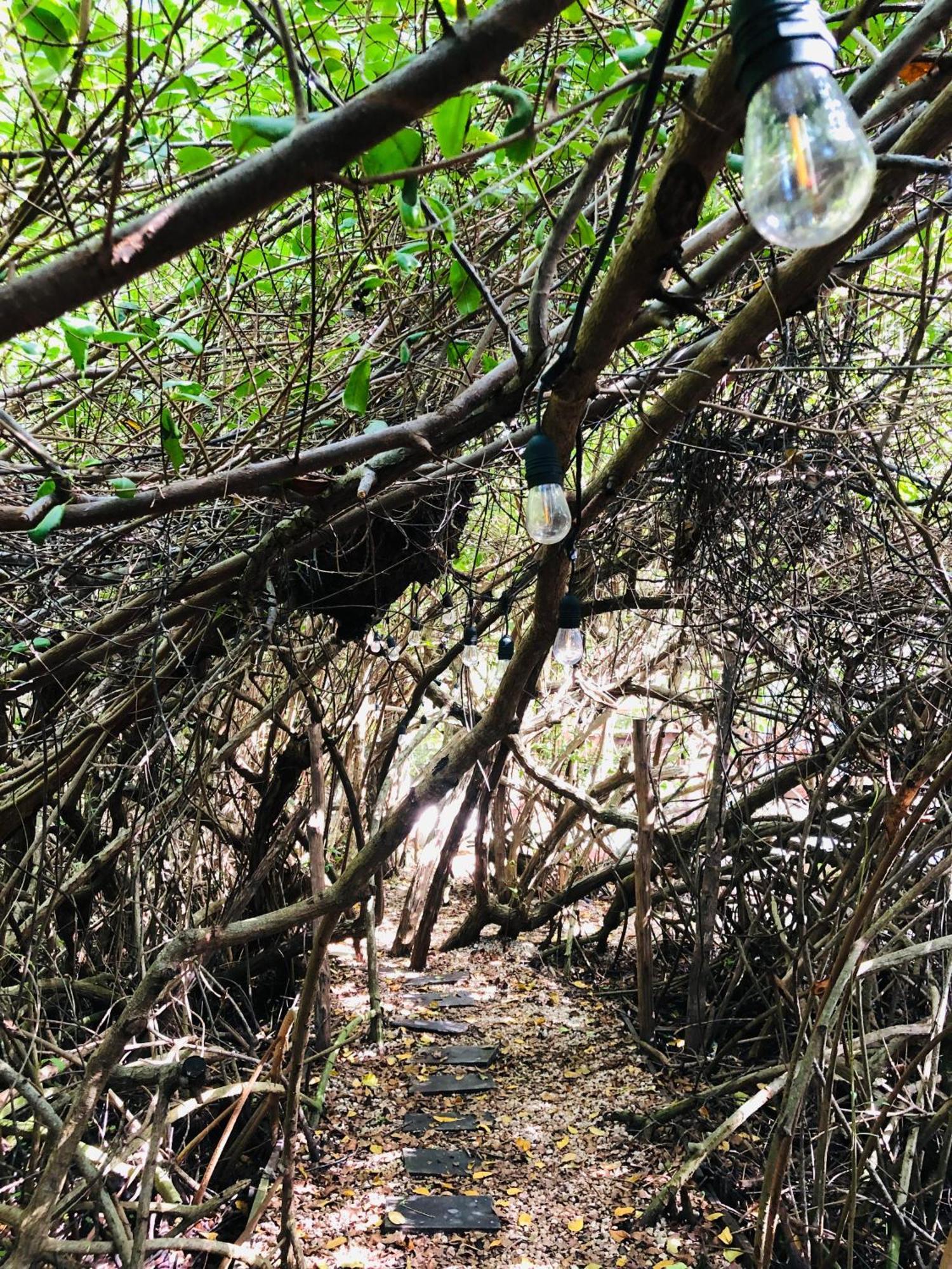 - Aldea Mangle & Cenote