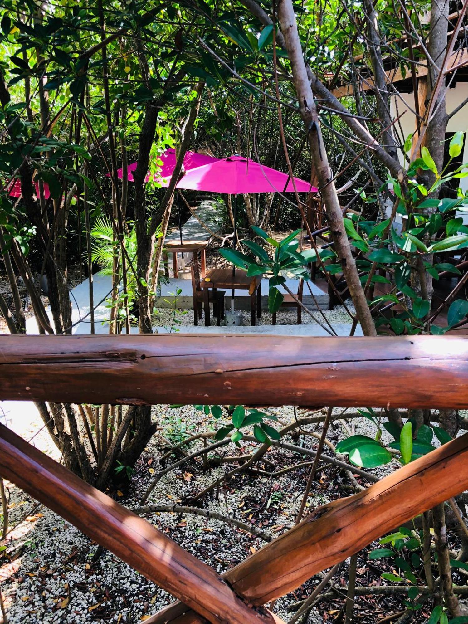 Lodge - Aldea Mangle & Cenote *