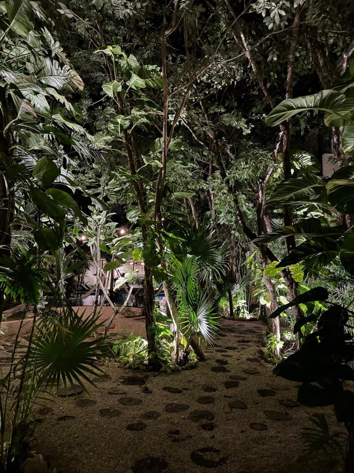 2 Bedroom Jungle In La Veleta - Palalma Casa Apartment