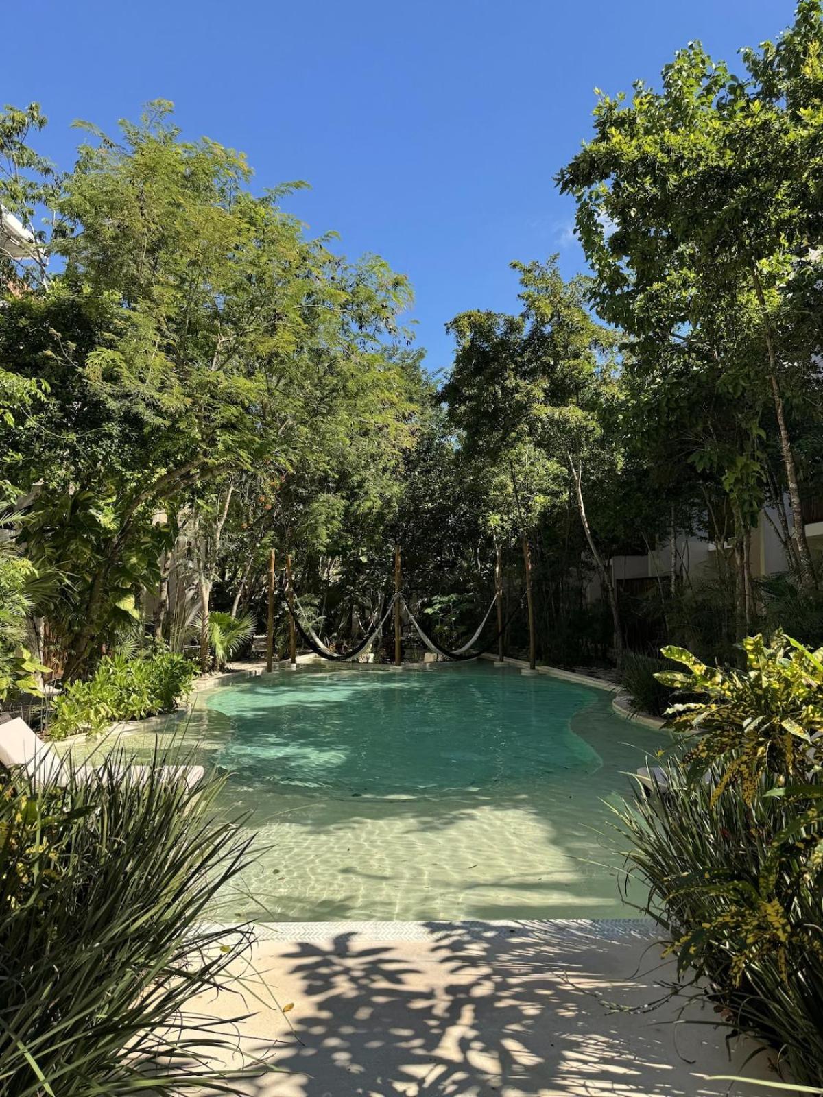 2 Bedroom Jungle In La Veleta - Palalma Casa Apartment