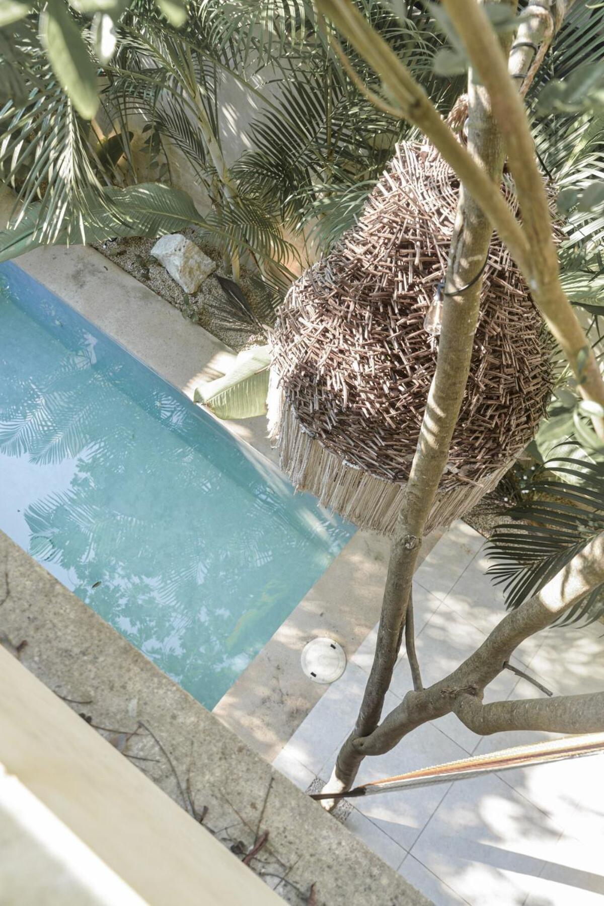 Casa Agosto Tropical Oasis In Aldea Zama *