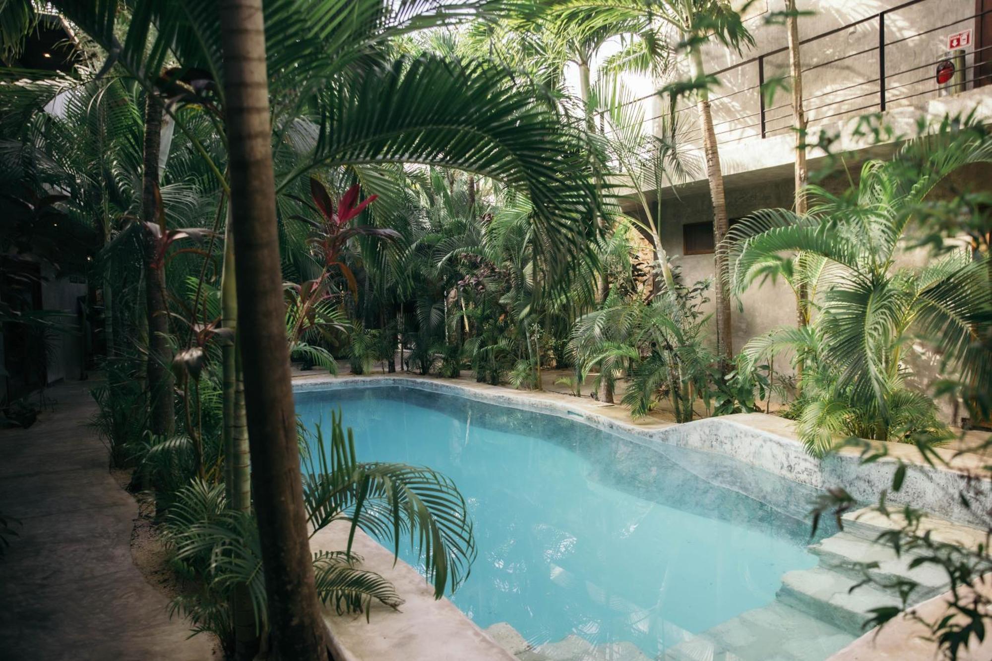 Villa Privada 8 *