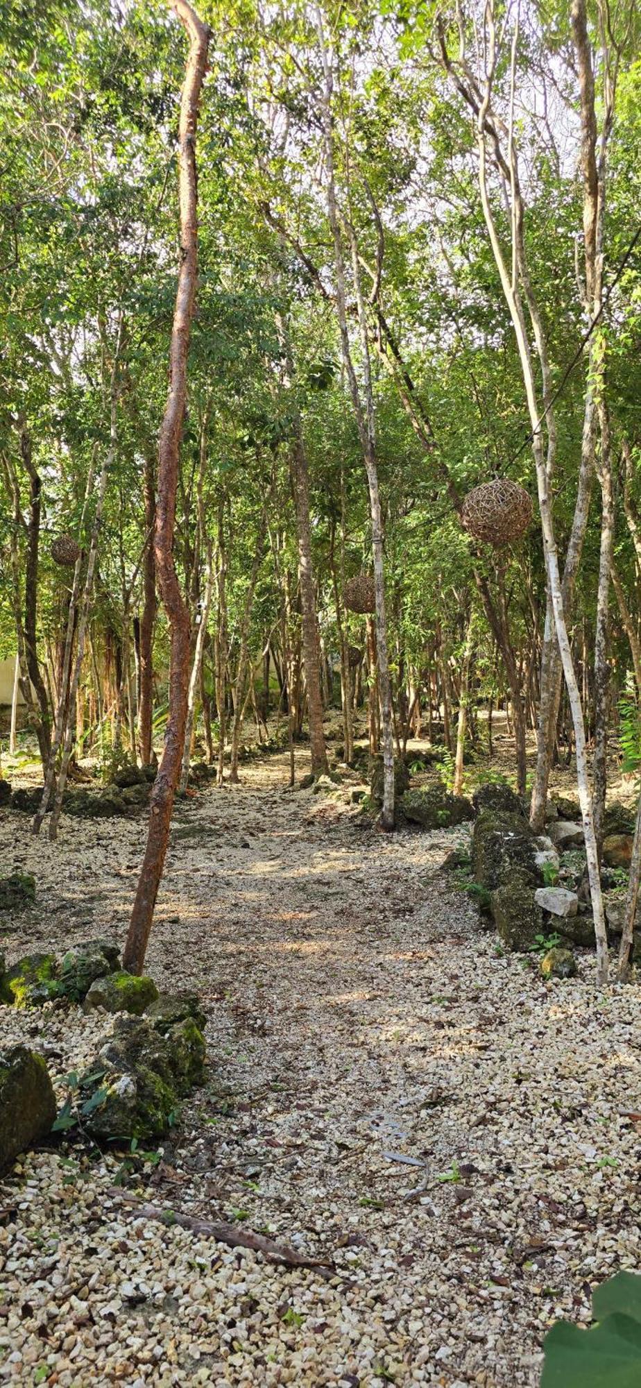 Casa de hóspedes Kin Ii Tulum