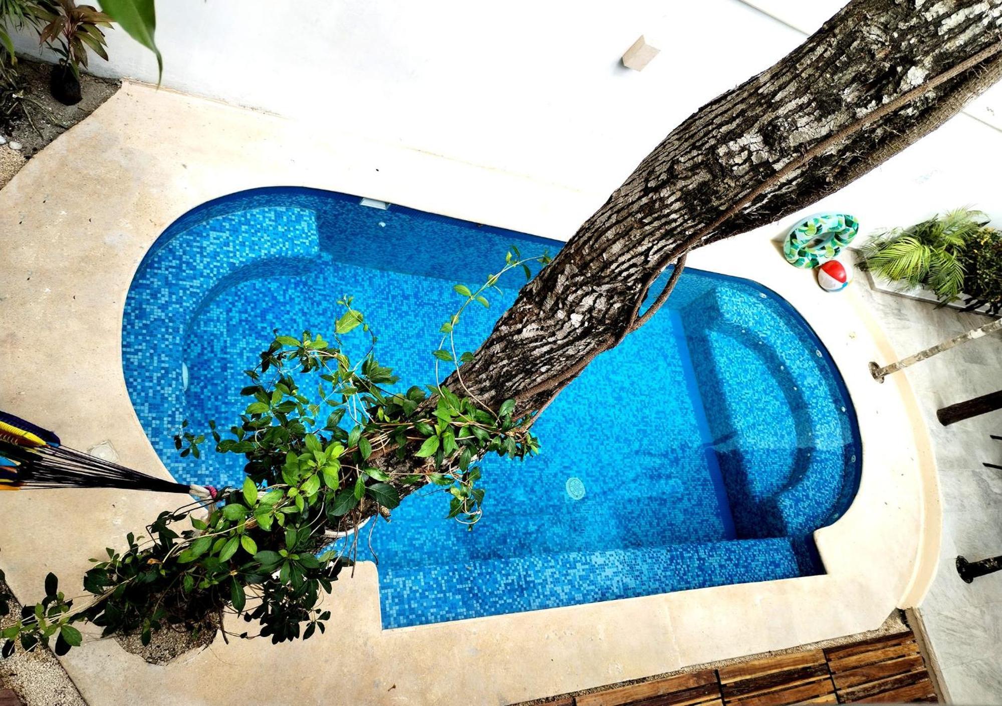 Tucanes 5 Bdr 10 Ppl Villa *