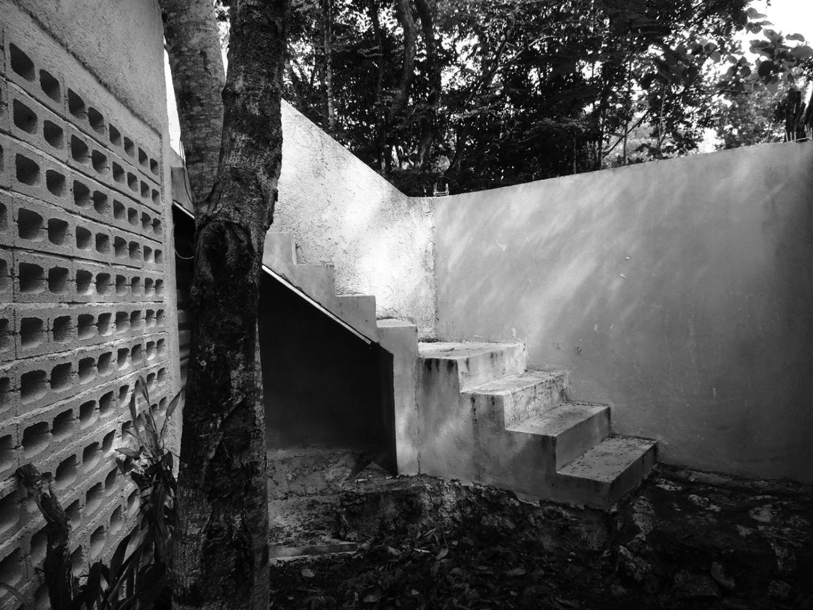 Guest house Barefoot Jungle *