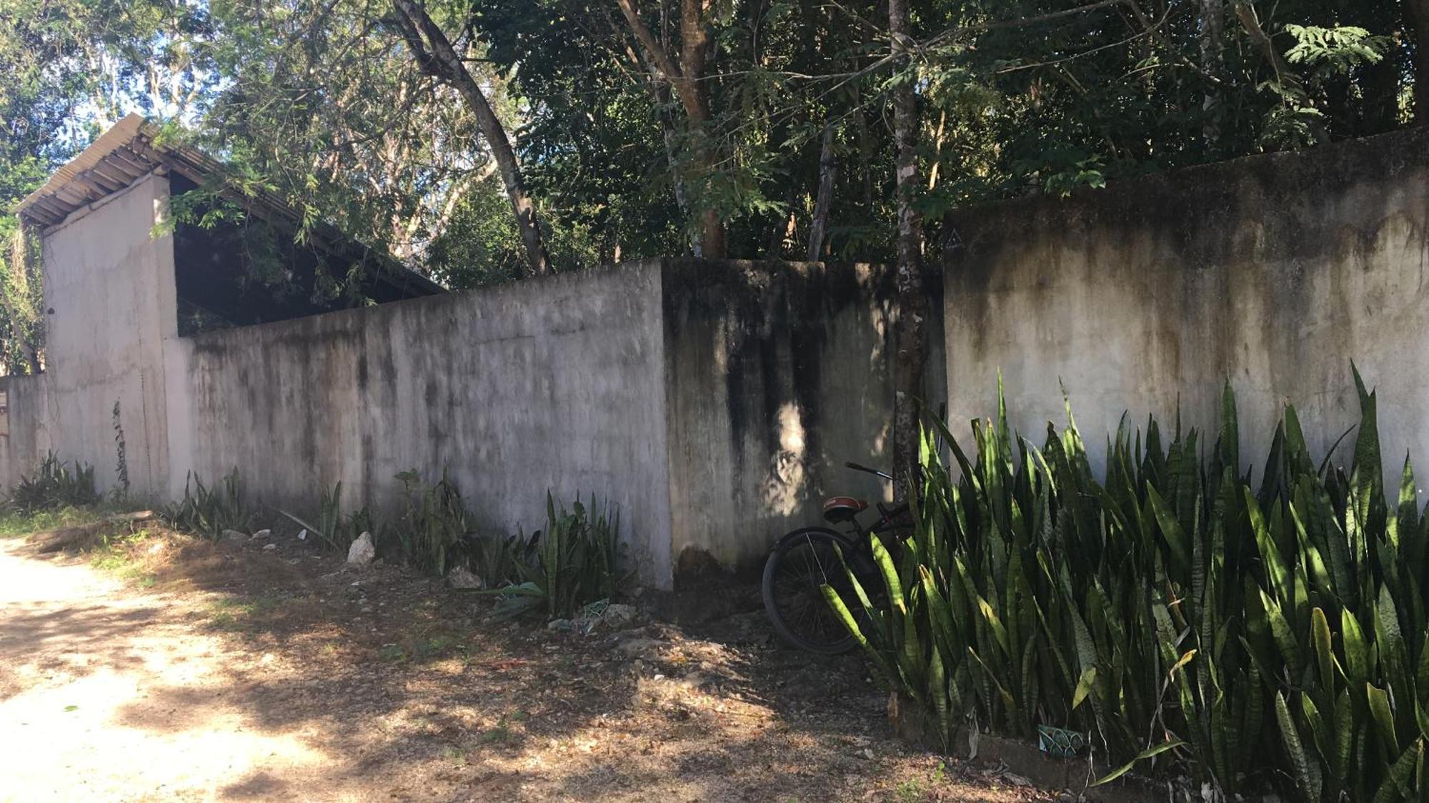 Barefoot Jungle Guest house