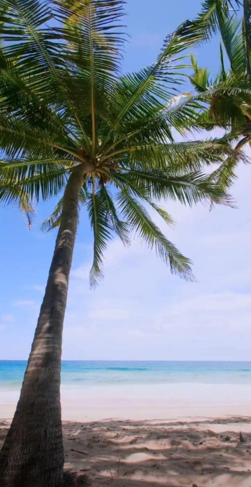 Depa Relax Star In Tulum