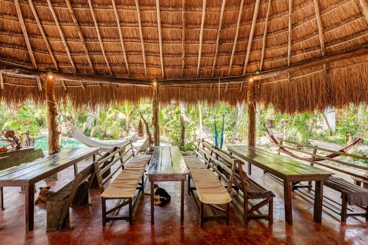 Campsite Zapote En Rancho Jaguares Jungle Retreat Tulum