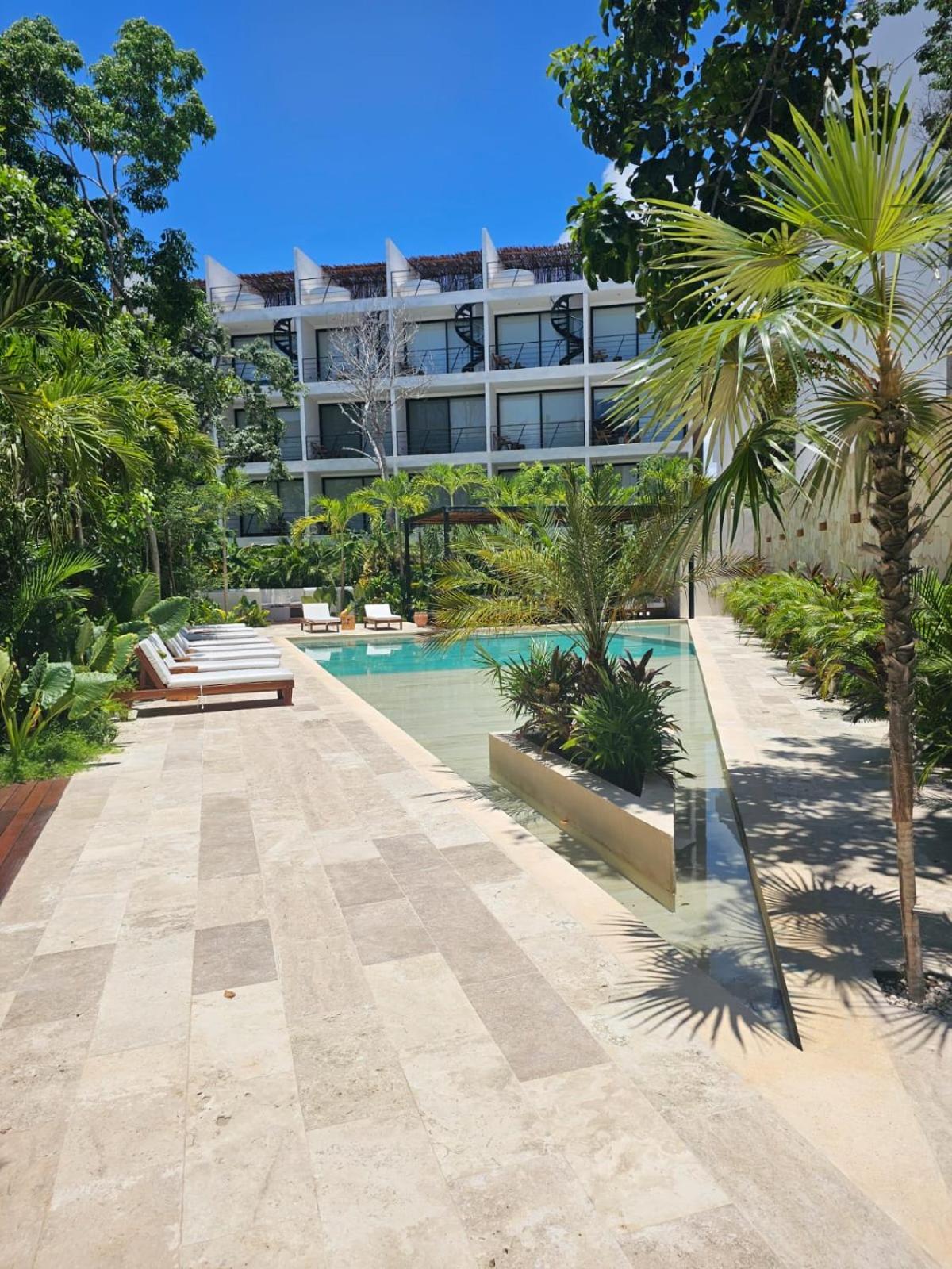 Paraiso En La Selva De *