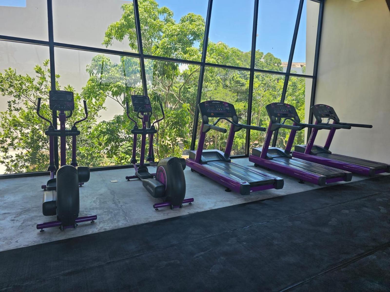 Paraiso En La Selva De * Tulum