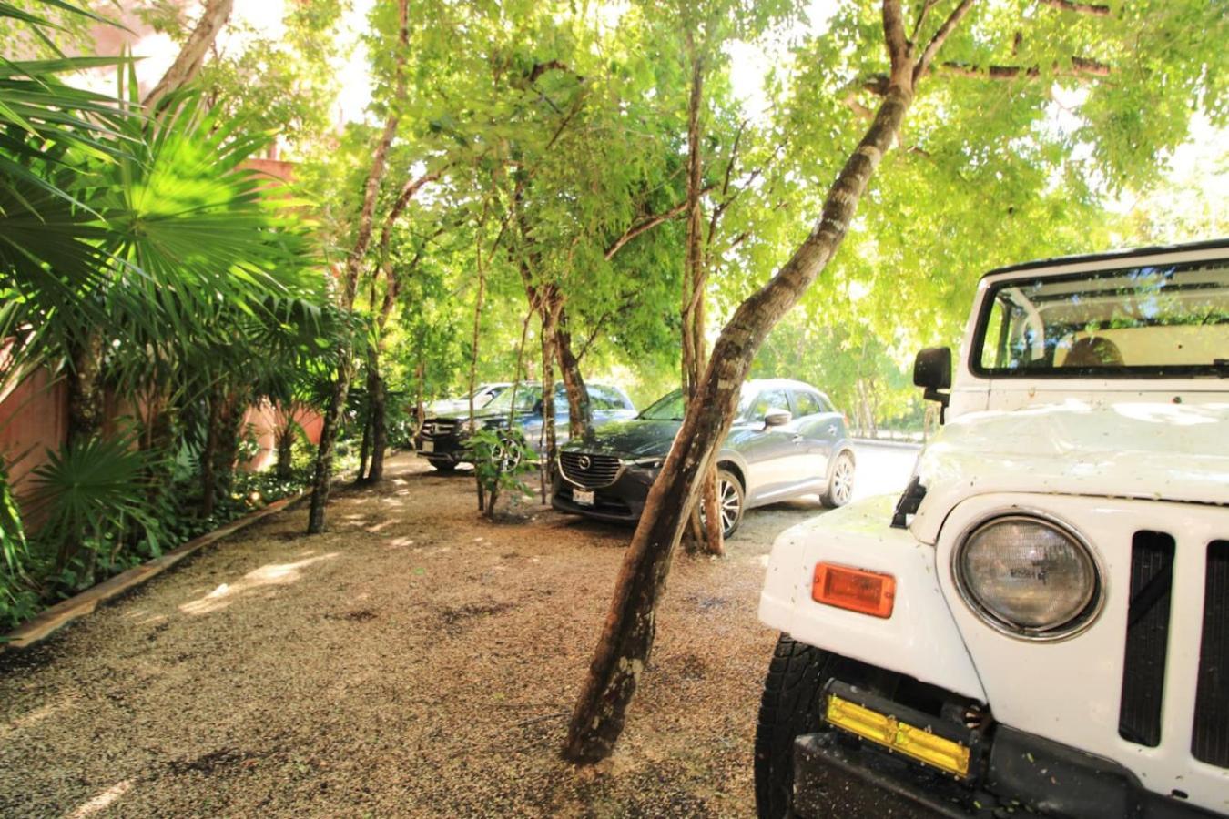 Vibrant 2br In Coolest Location