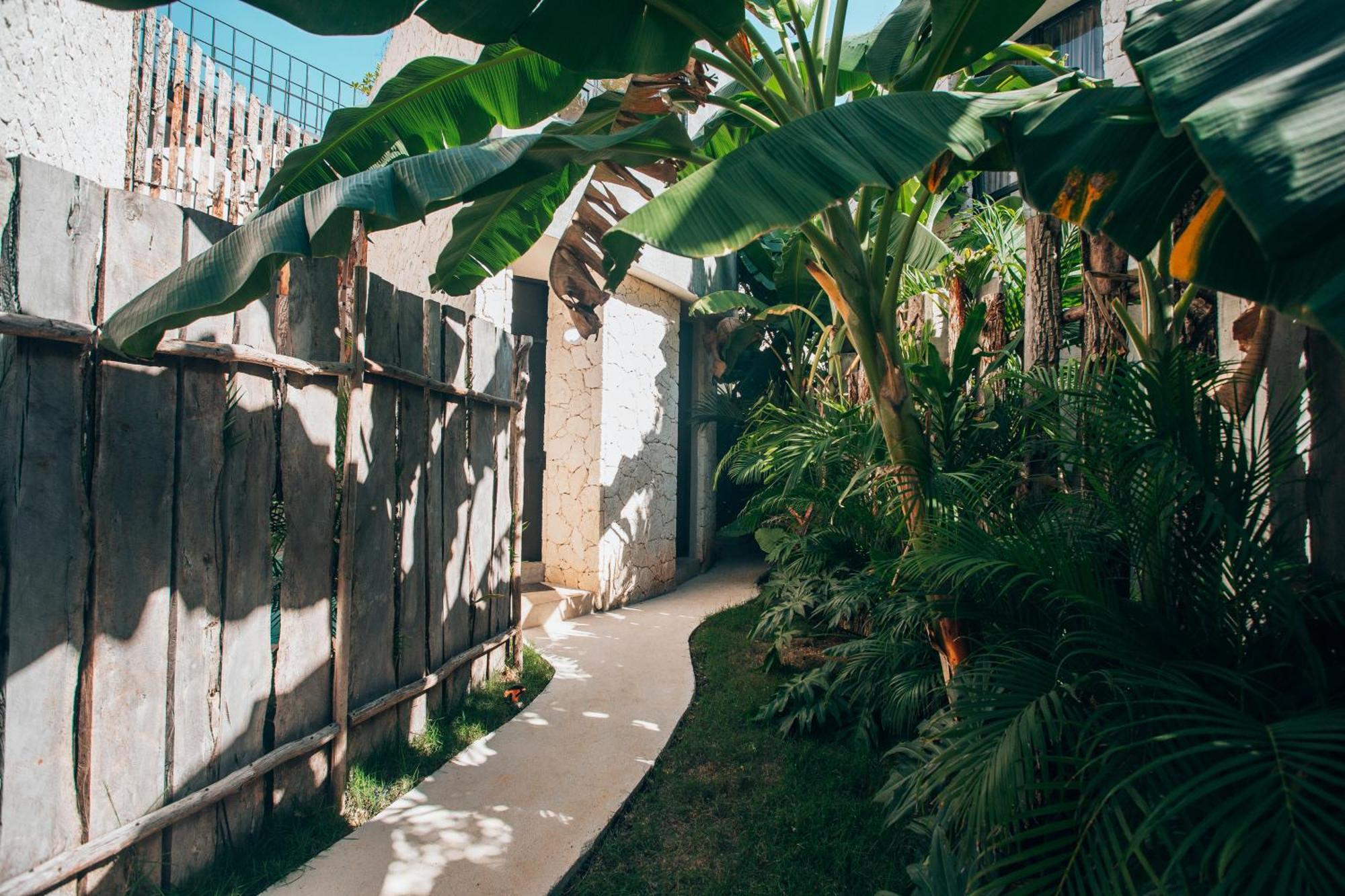 Jungle Rooftop -priv Pool-bathtub-jacuzzi 2a *