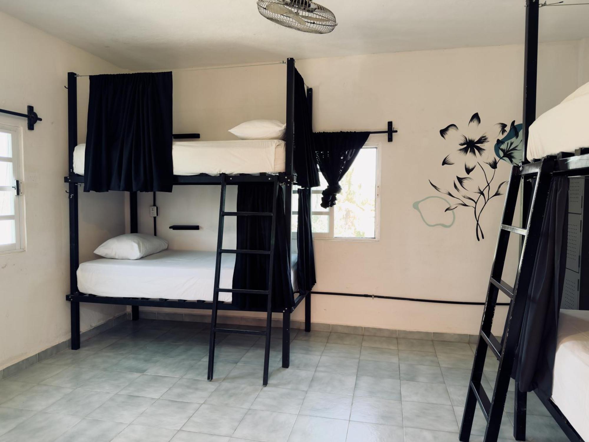 Oryx Hostel Tulum