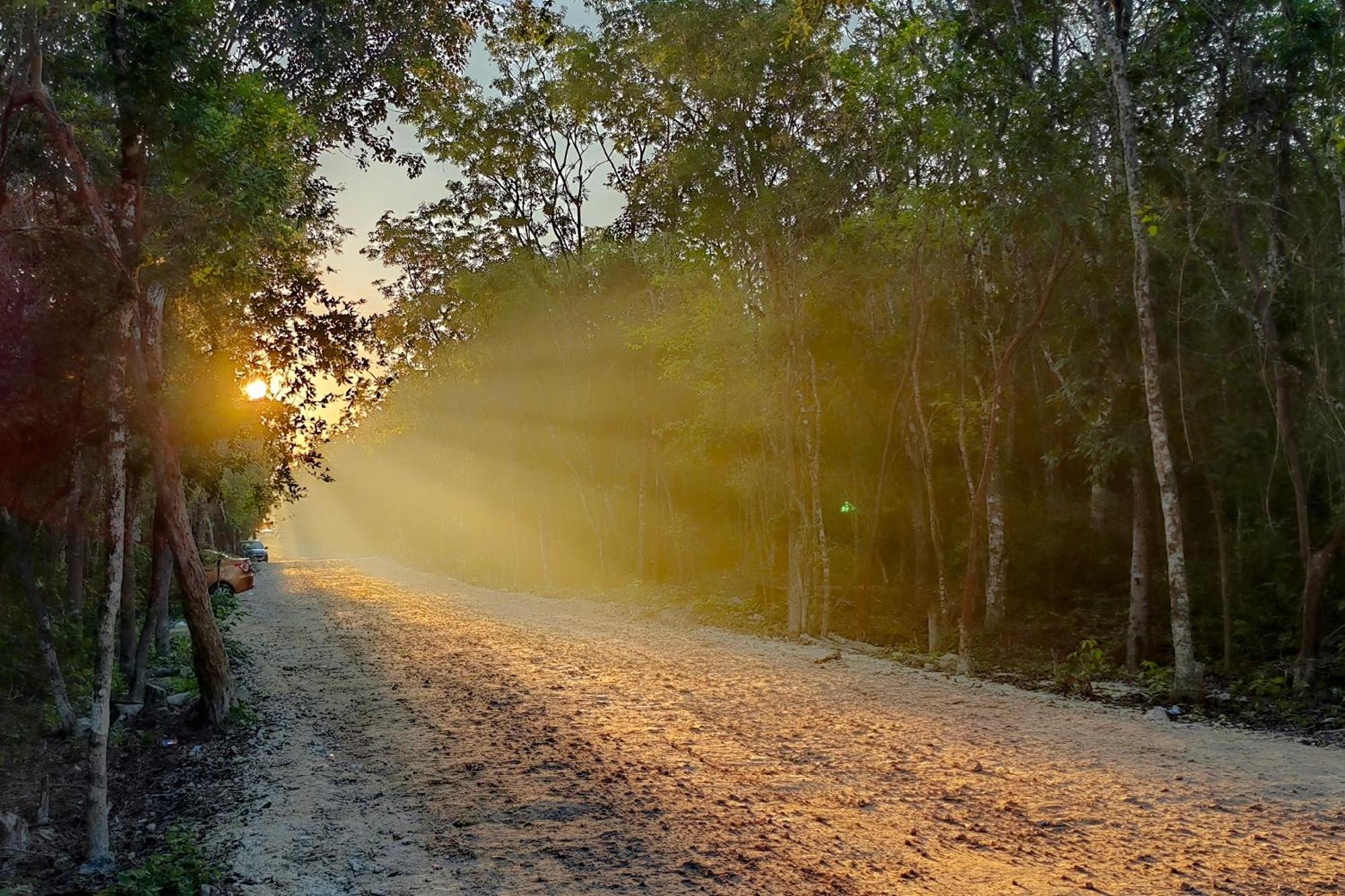 Treehouse H2ojos 4* Tulum