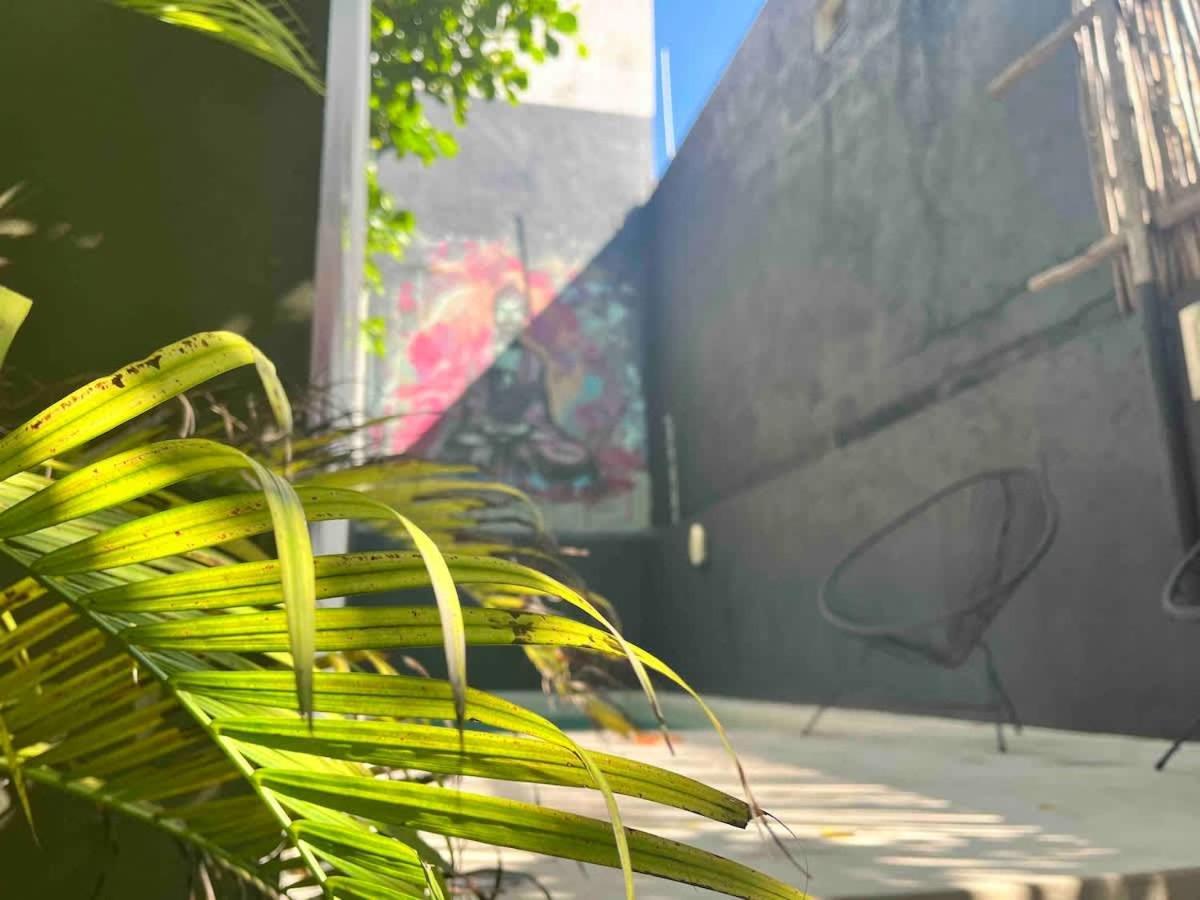 Downtown Cozy 1bd