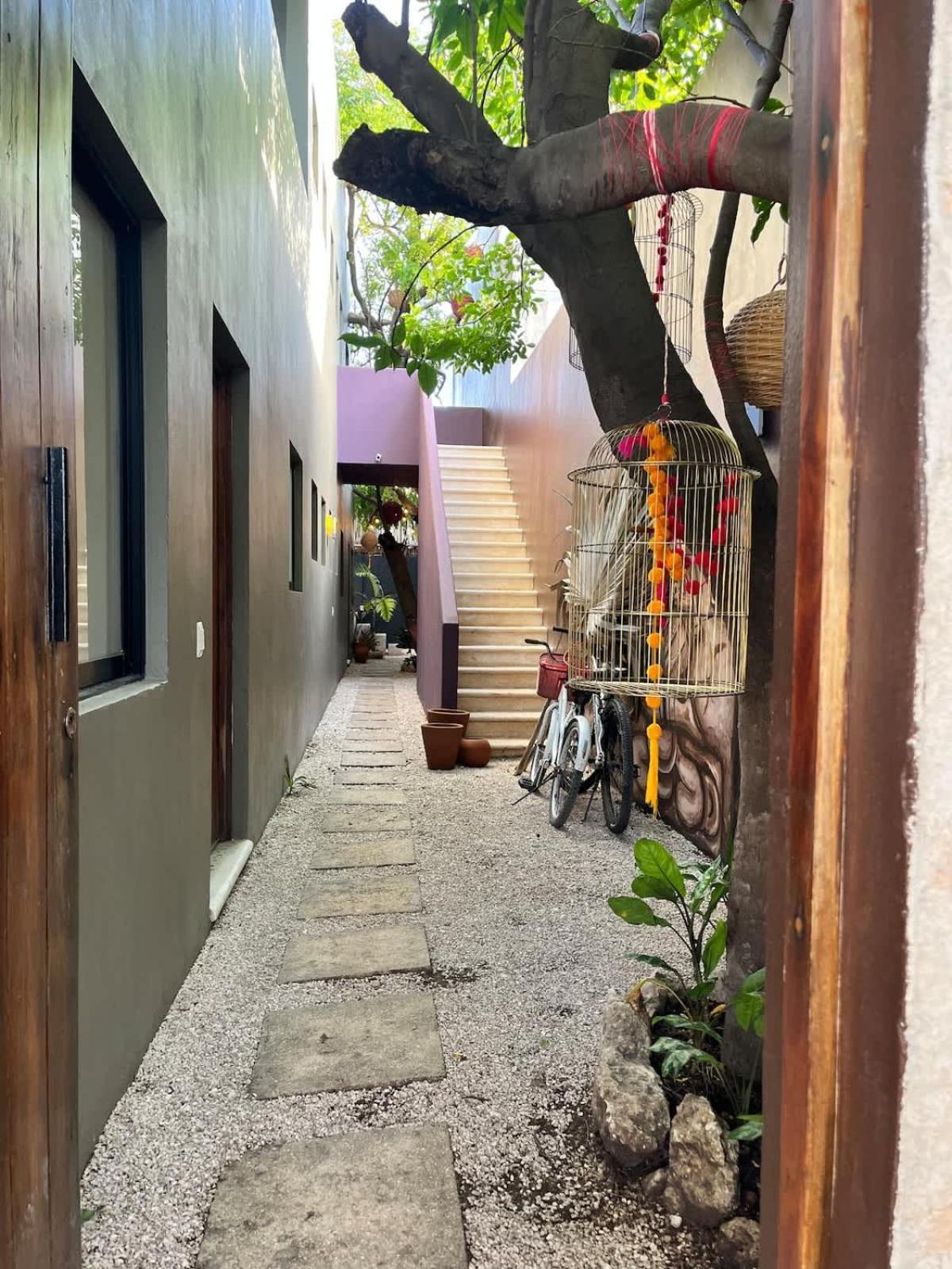 Downtown Cozy 1bd Holiday home *