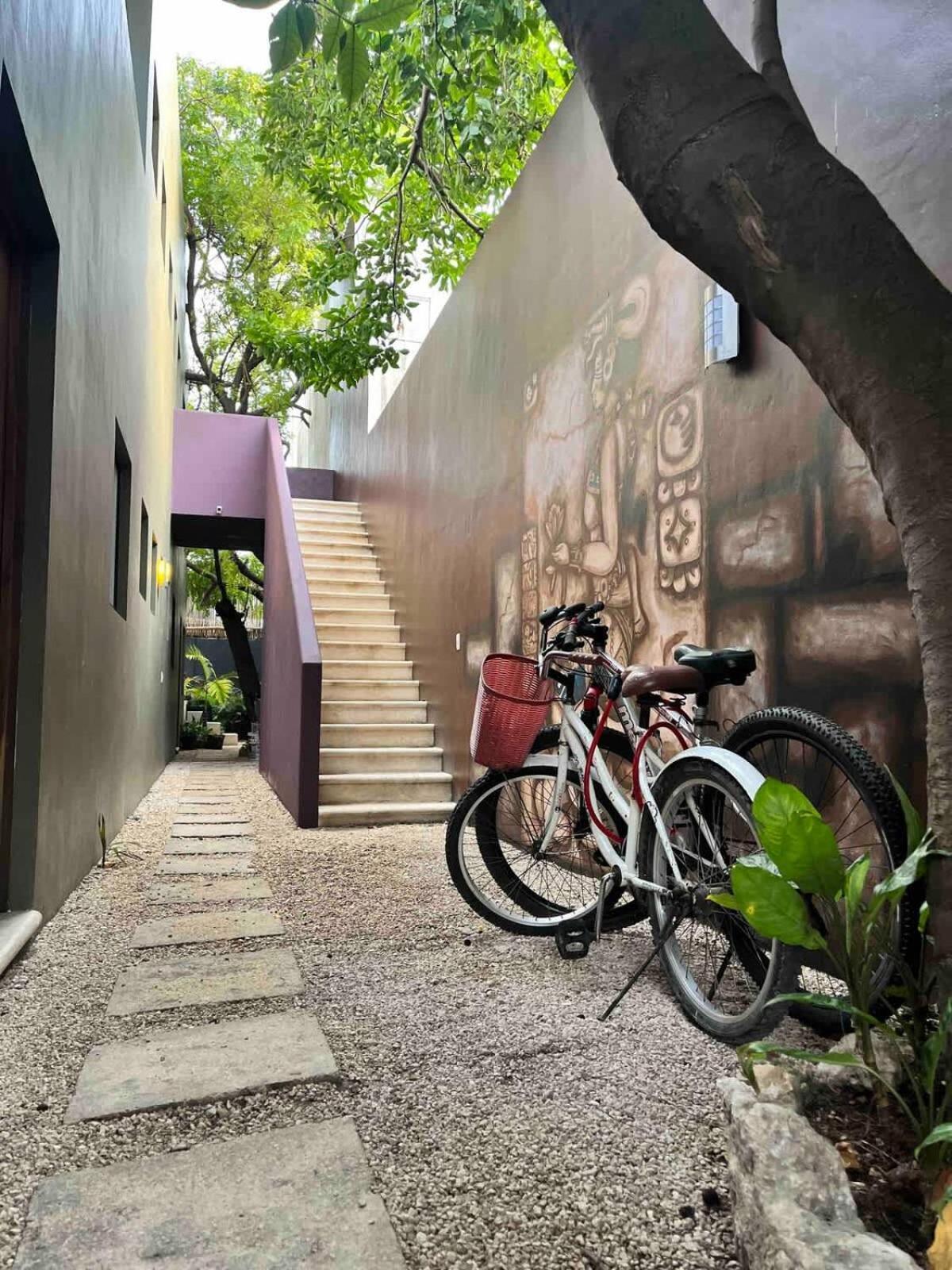Downtown Cozy 1bd Tulum