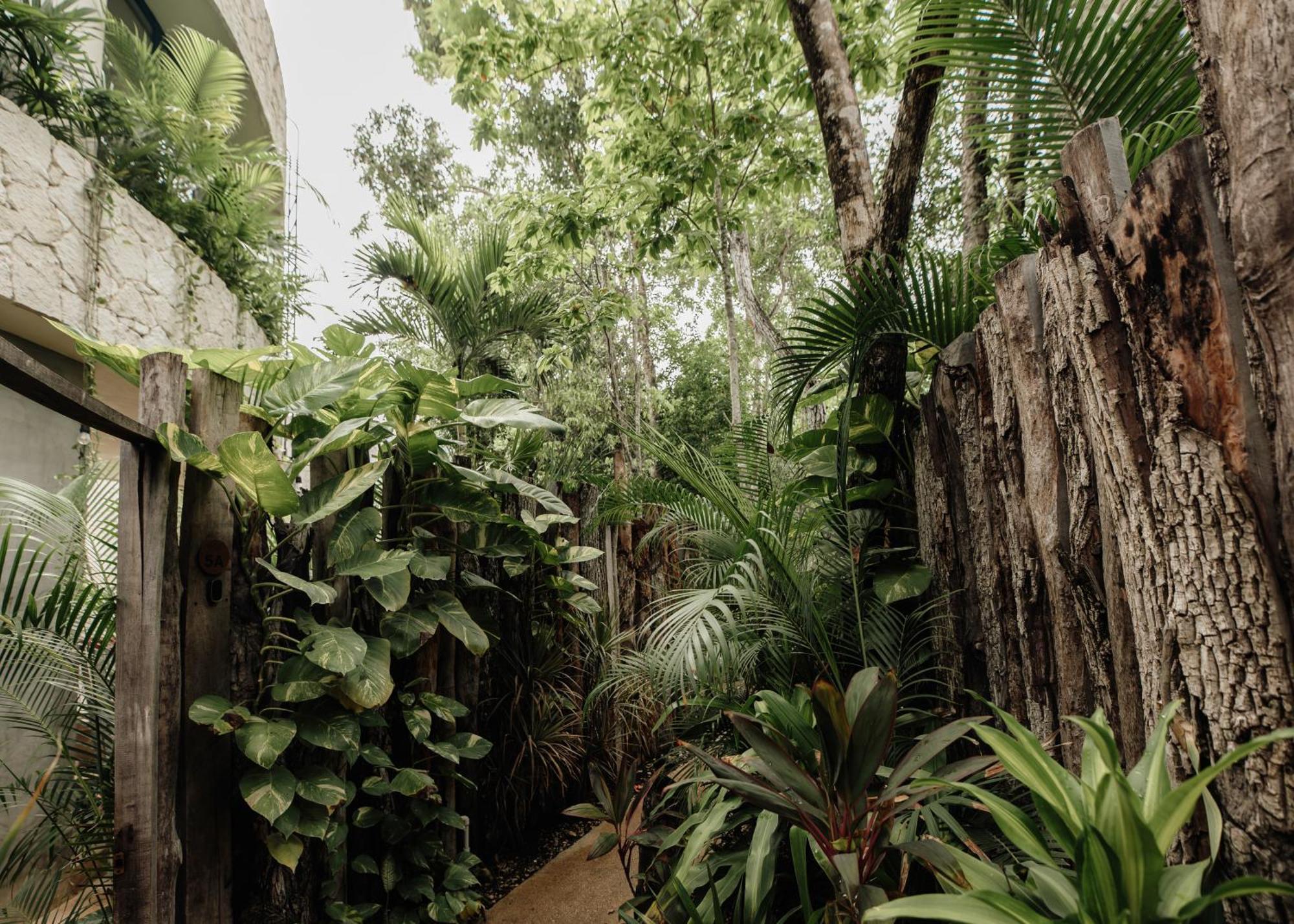 Casa Coco Jungle - Pv Pool & Concierge 5b *