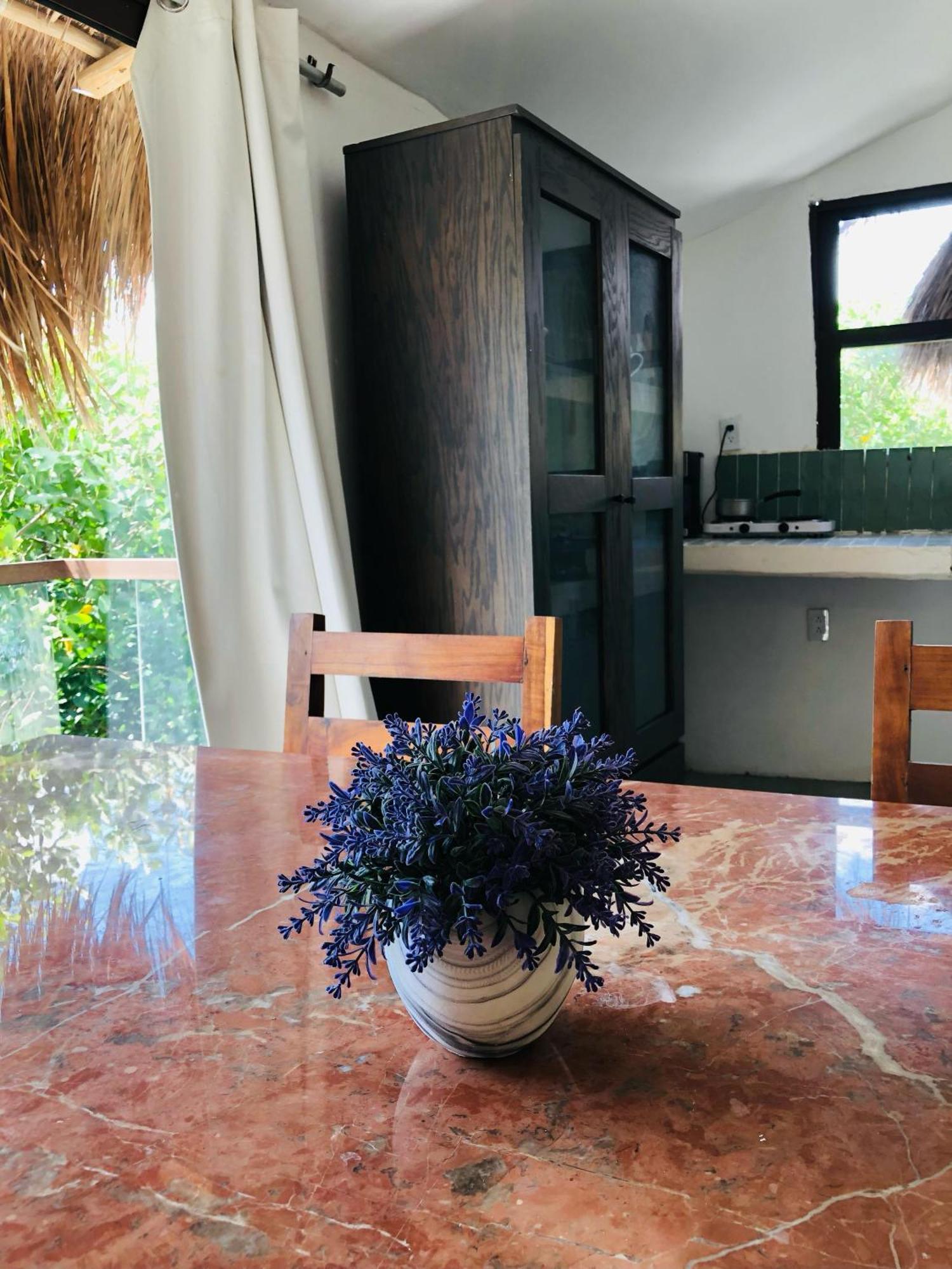 - Aldea Mangle & Cenote Lodge