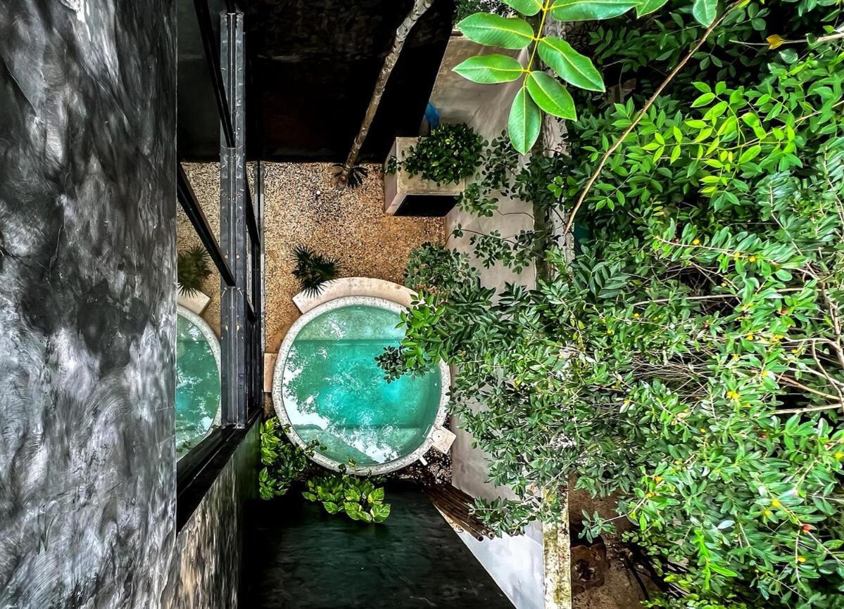 Beautiful House With Private Pool In Aldea Zama