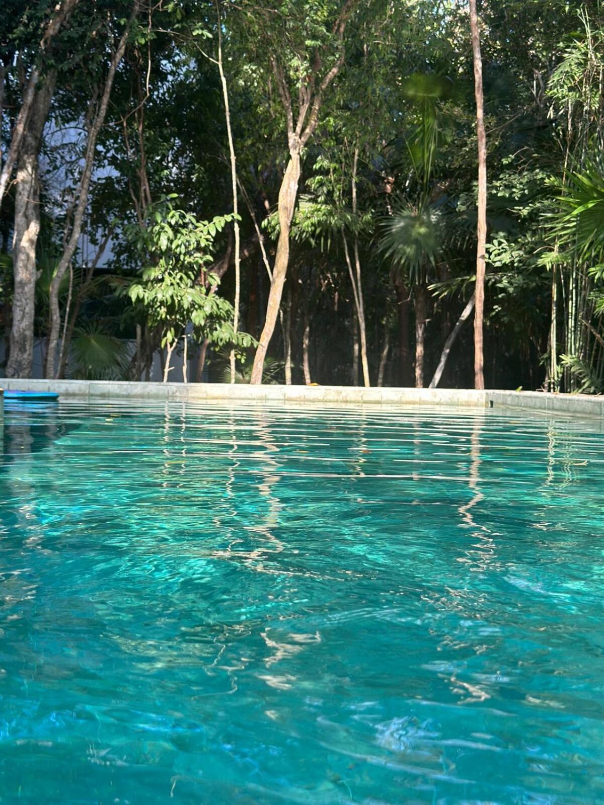 Ase