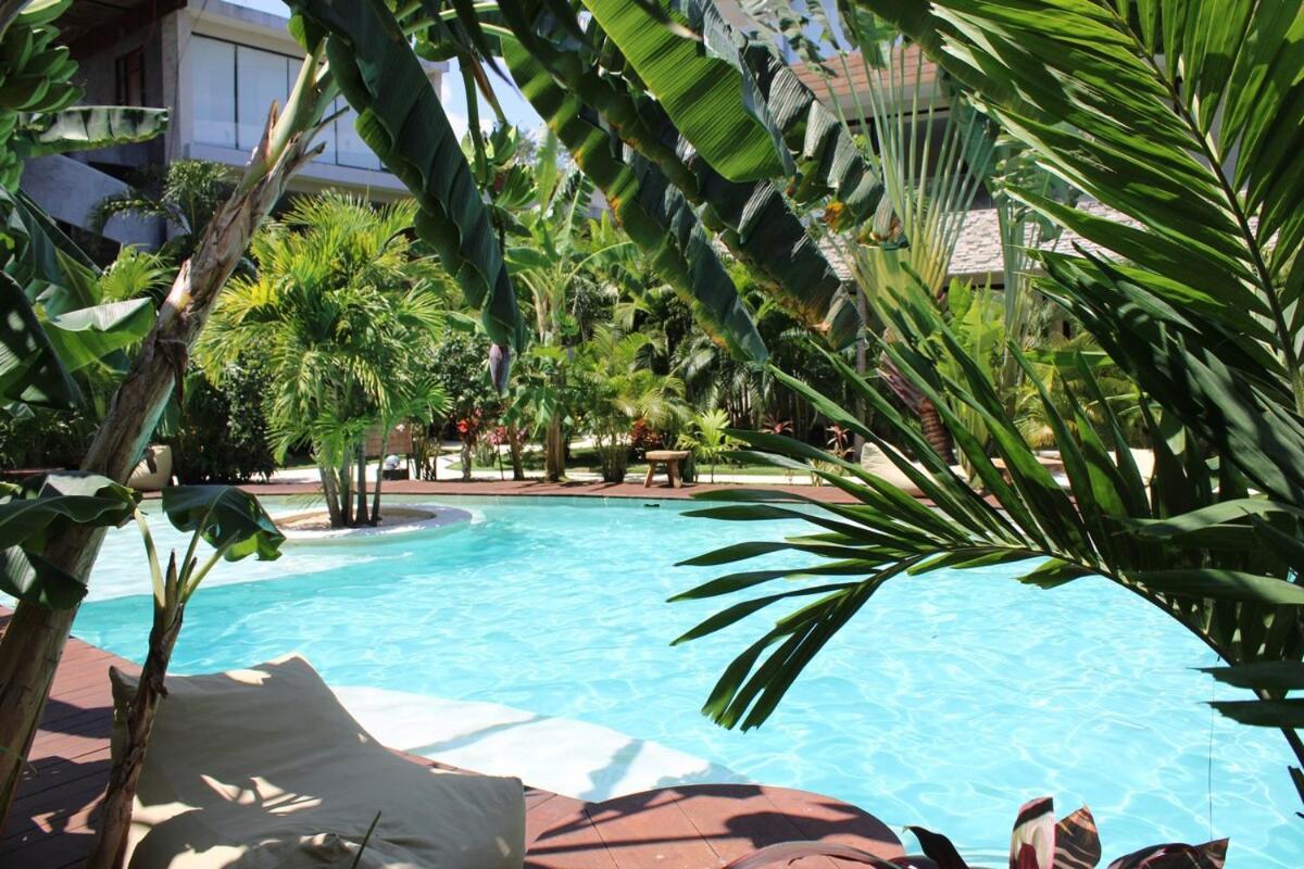 Apartment Xperience 1br Pool Gym And Yoga Palapa Tulum
