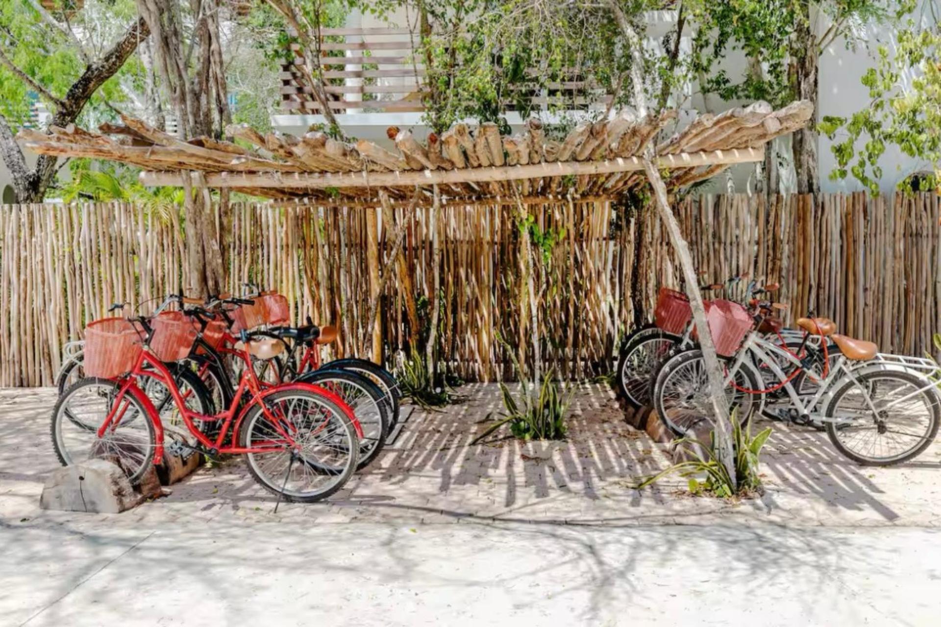 Exclusive 2 Bedroom Design Mexico *