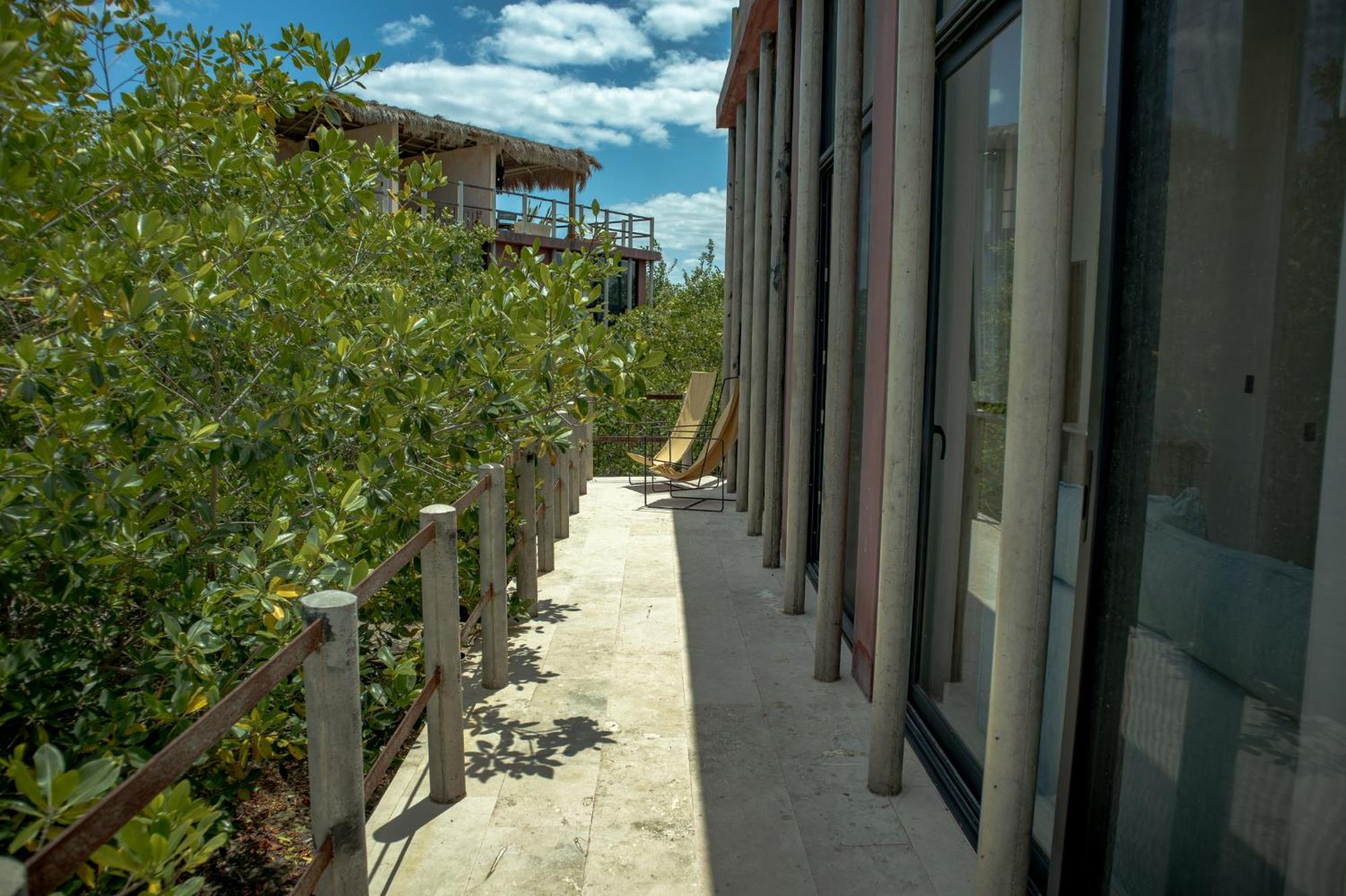 Caiman Habitat Tulum